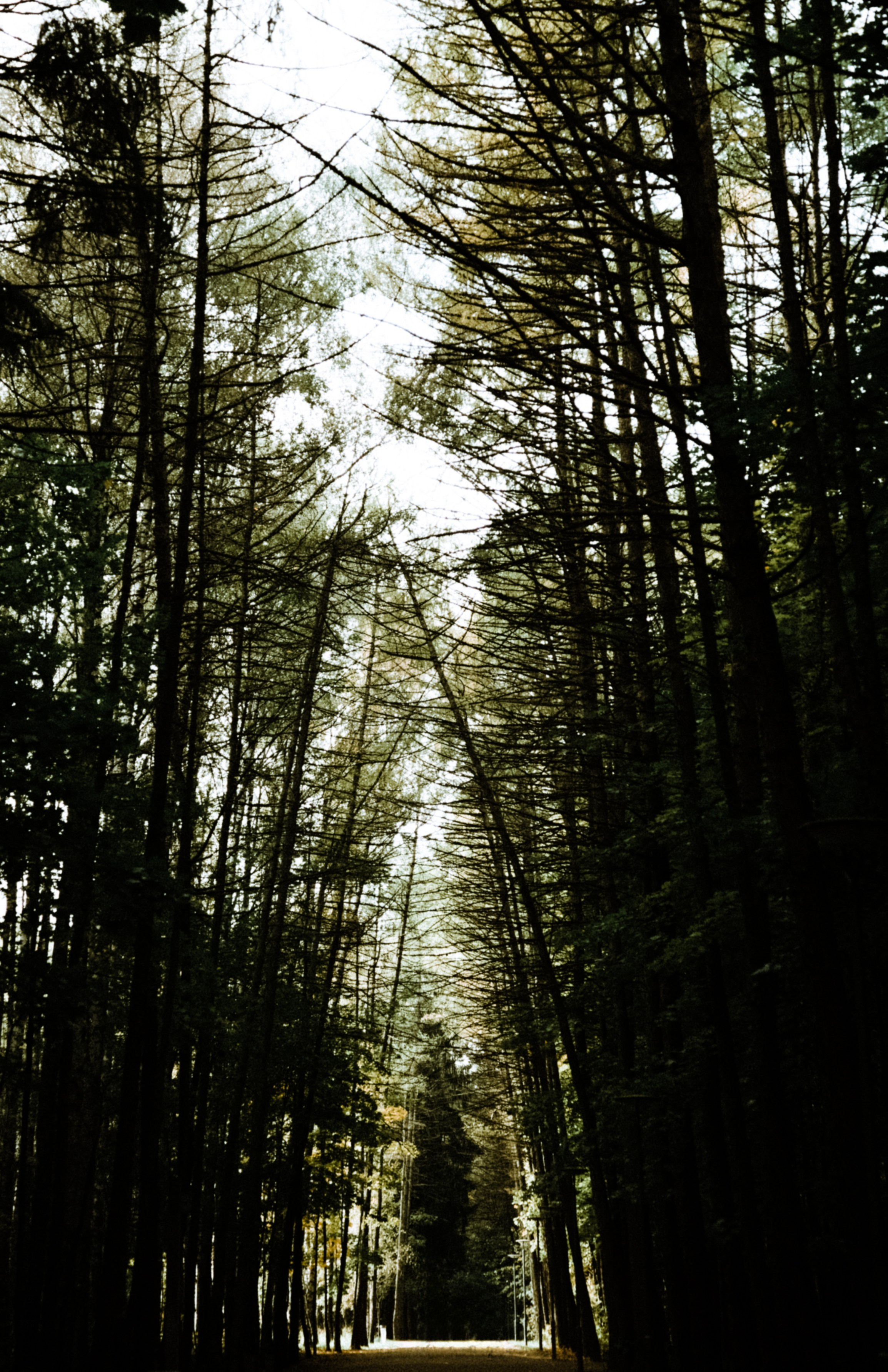 Осень 2025. Фотограф из Москвы — DASHA NOVA | Авторская фотография в разных жанрах