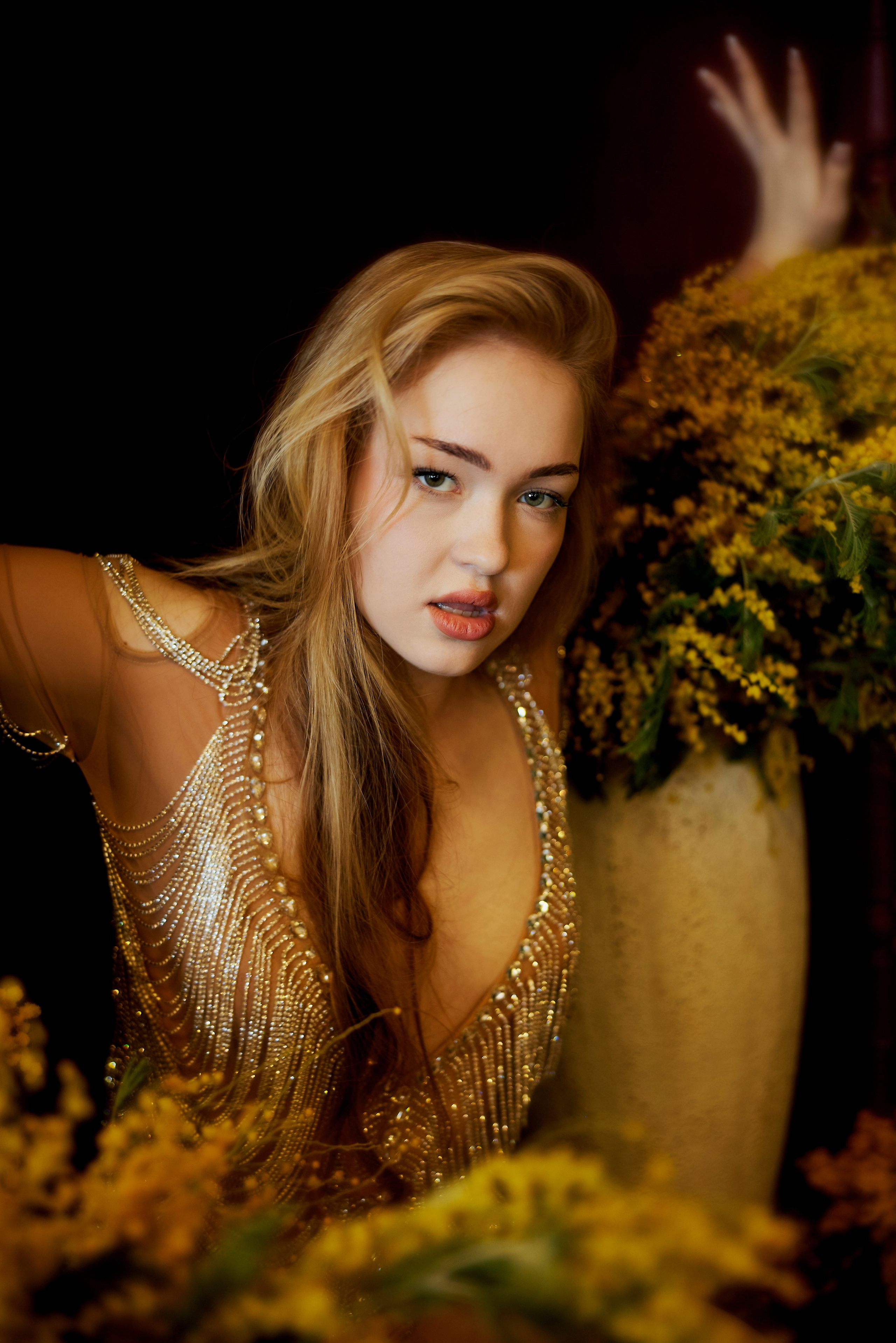 Мимоза 2. Сергей Ирклиенко