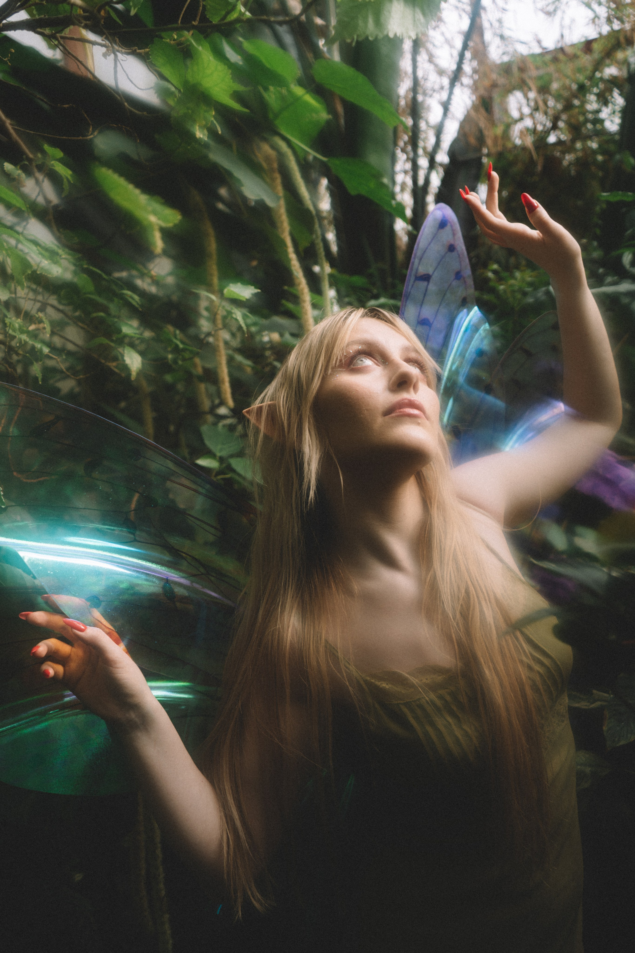 Тайный лес. Анастасия Попова — Fashion photographer