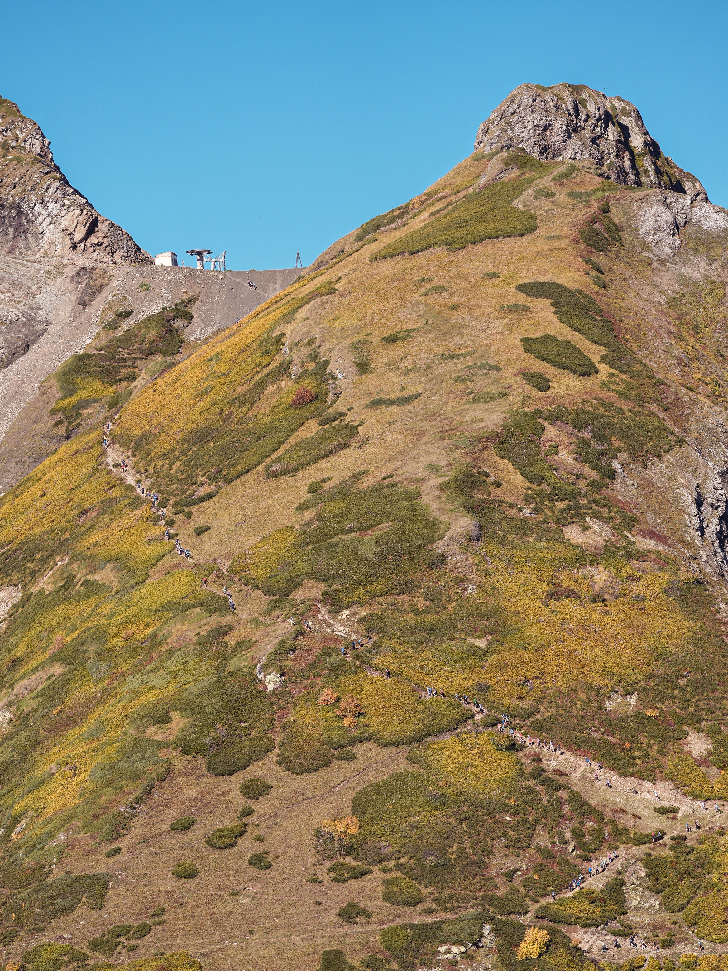 Ыаывы. Репортажный фотограф в Красной Поляне и Сочи Павлюченко Екатерина