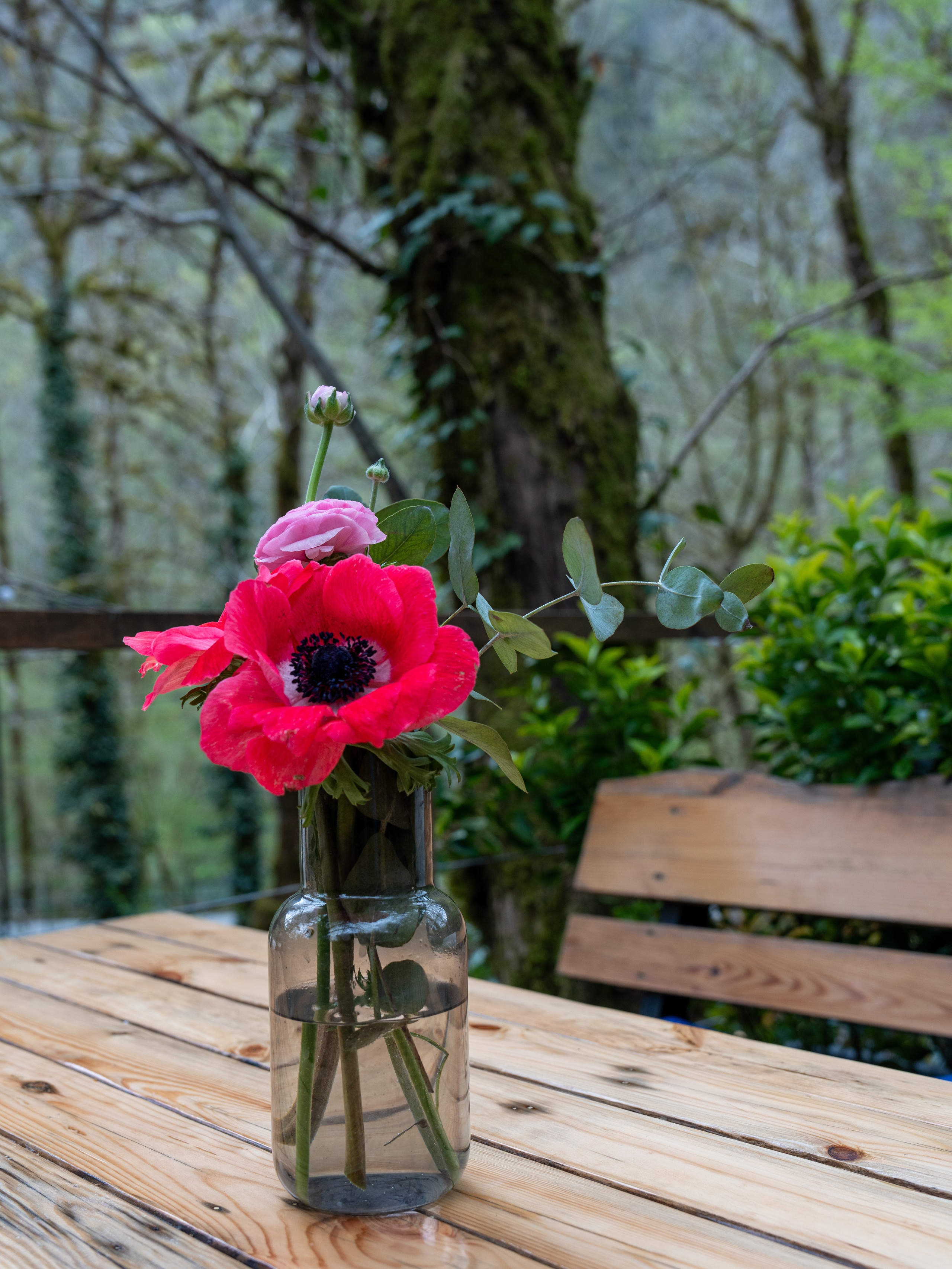 MICE мероприятие — джиппинг на каньон Псахо. Репортажный фотограф в Красной Поляне и Сочи Павлюченко Екатерина