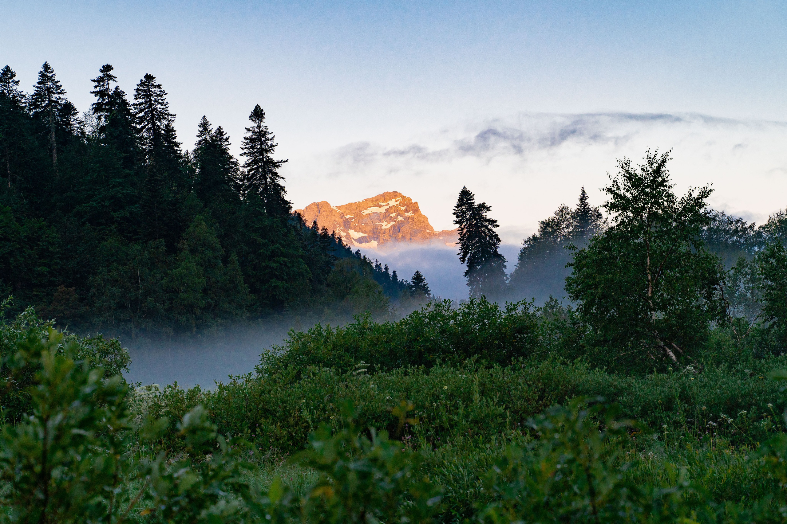 Путешествия и пейзаж. Репортажный фотограф в Красной Поляне и Сочи Павлюченко Екатерина