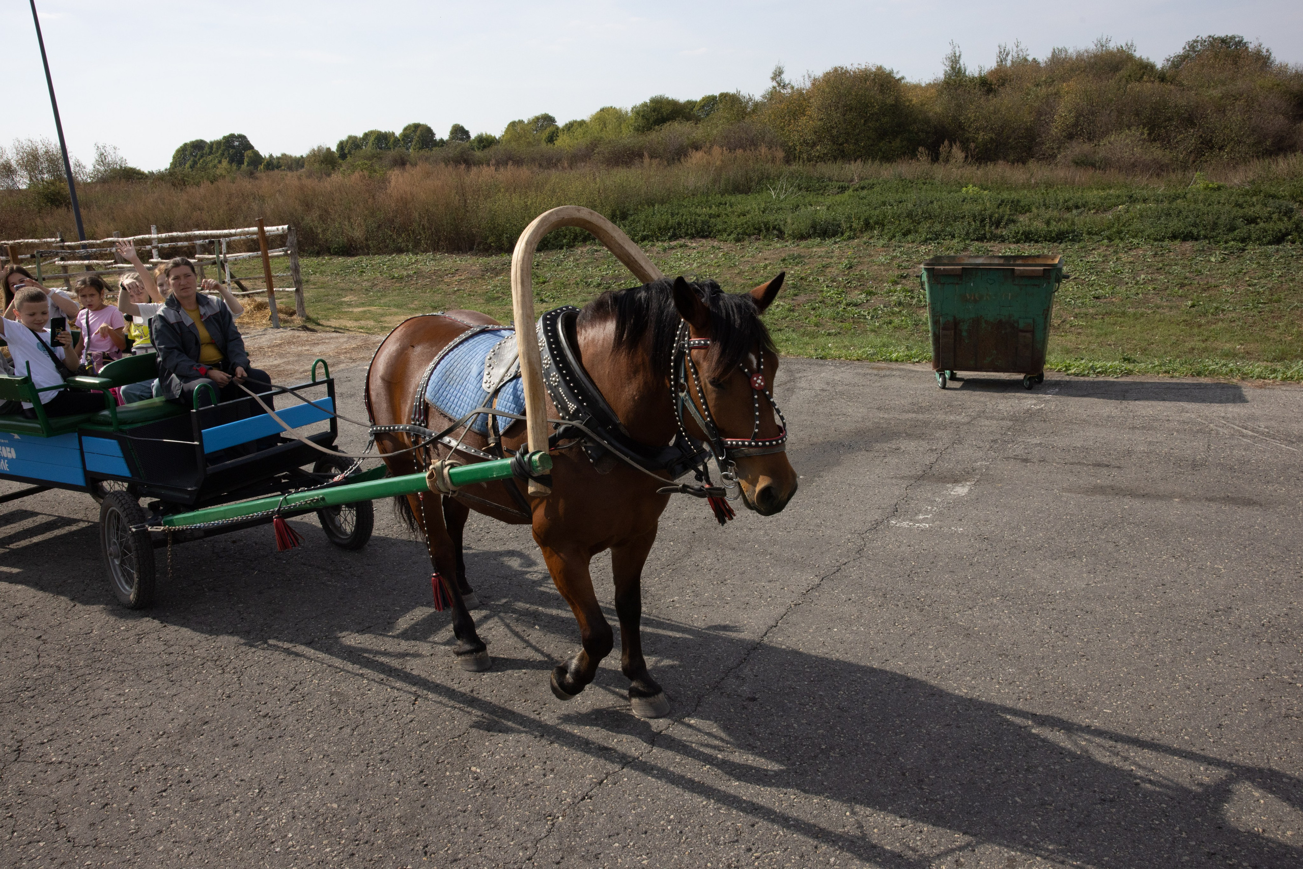 Поездка на поле Кулеково. Фотограф в Туле Крупский АнДРей. Фотостудия «КАДР71» в Туле