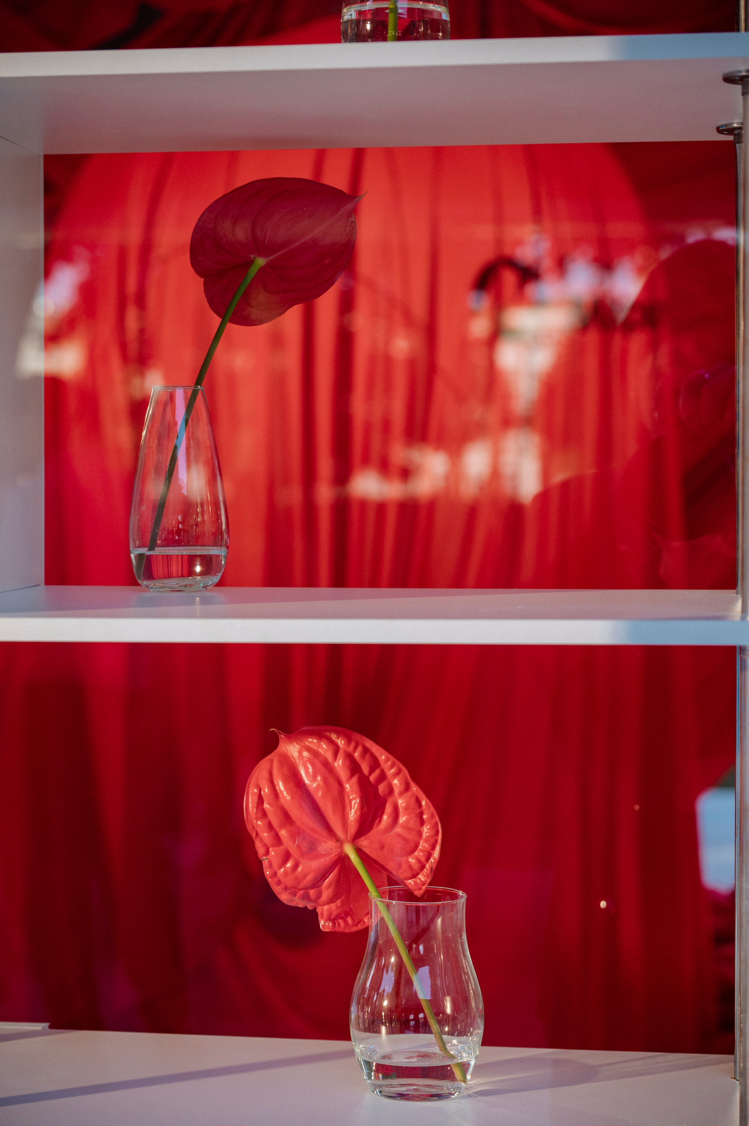 Fashion Show от Яндекс Маркет. Natalyandronova.ru