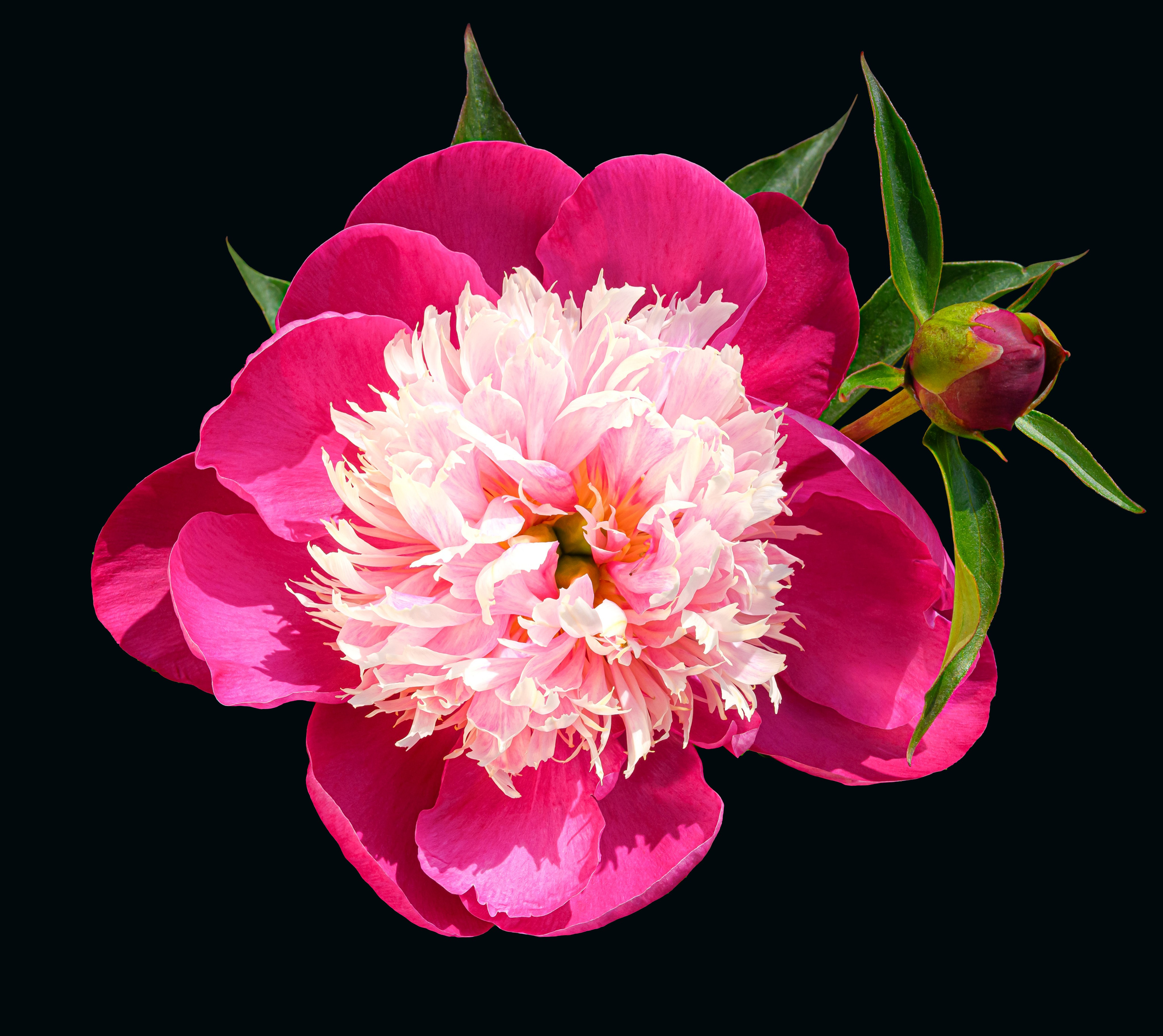 Разное. Fotolux