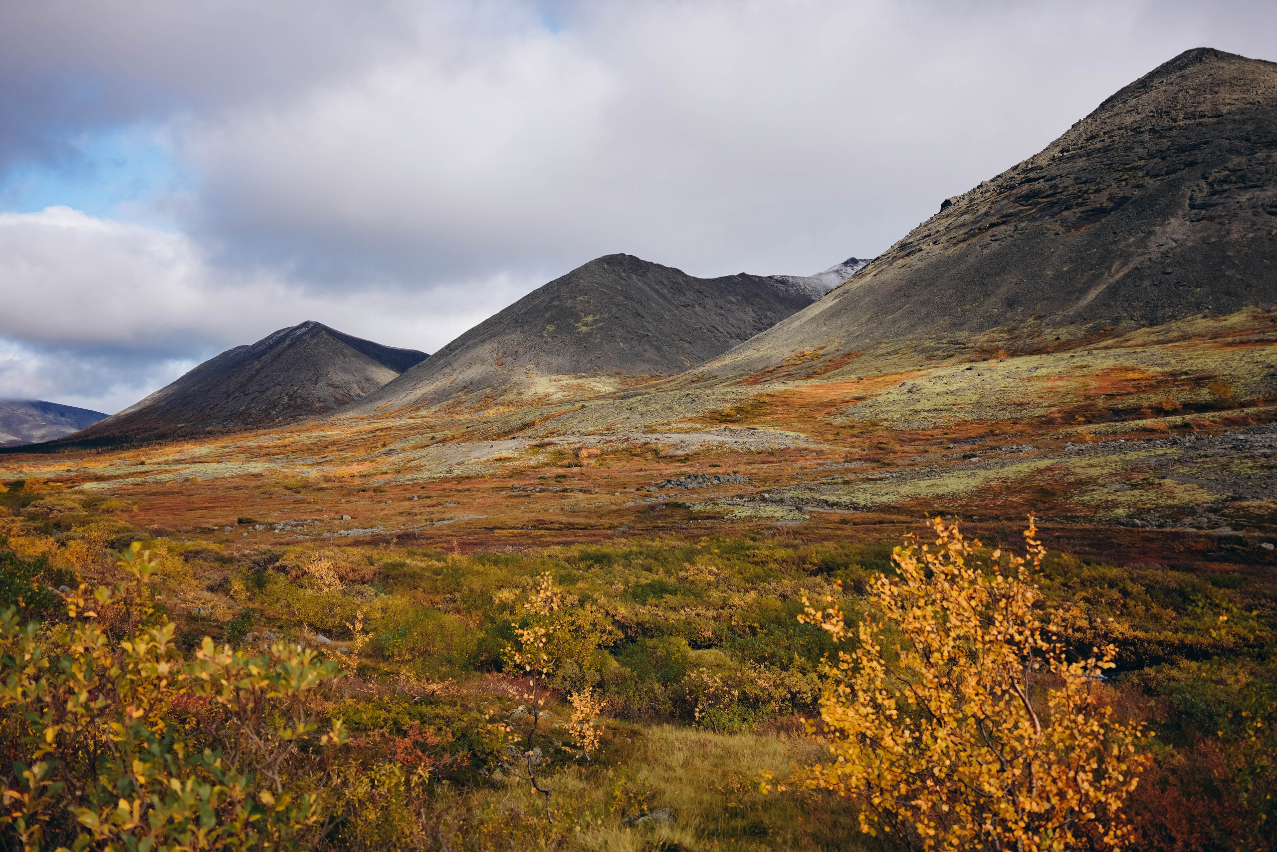 СЕВЕР. Event фотограф Степанова Александра