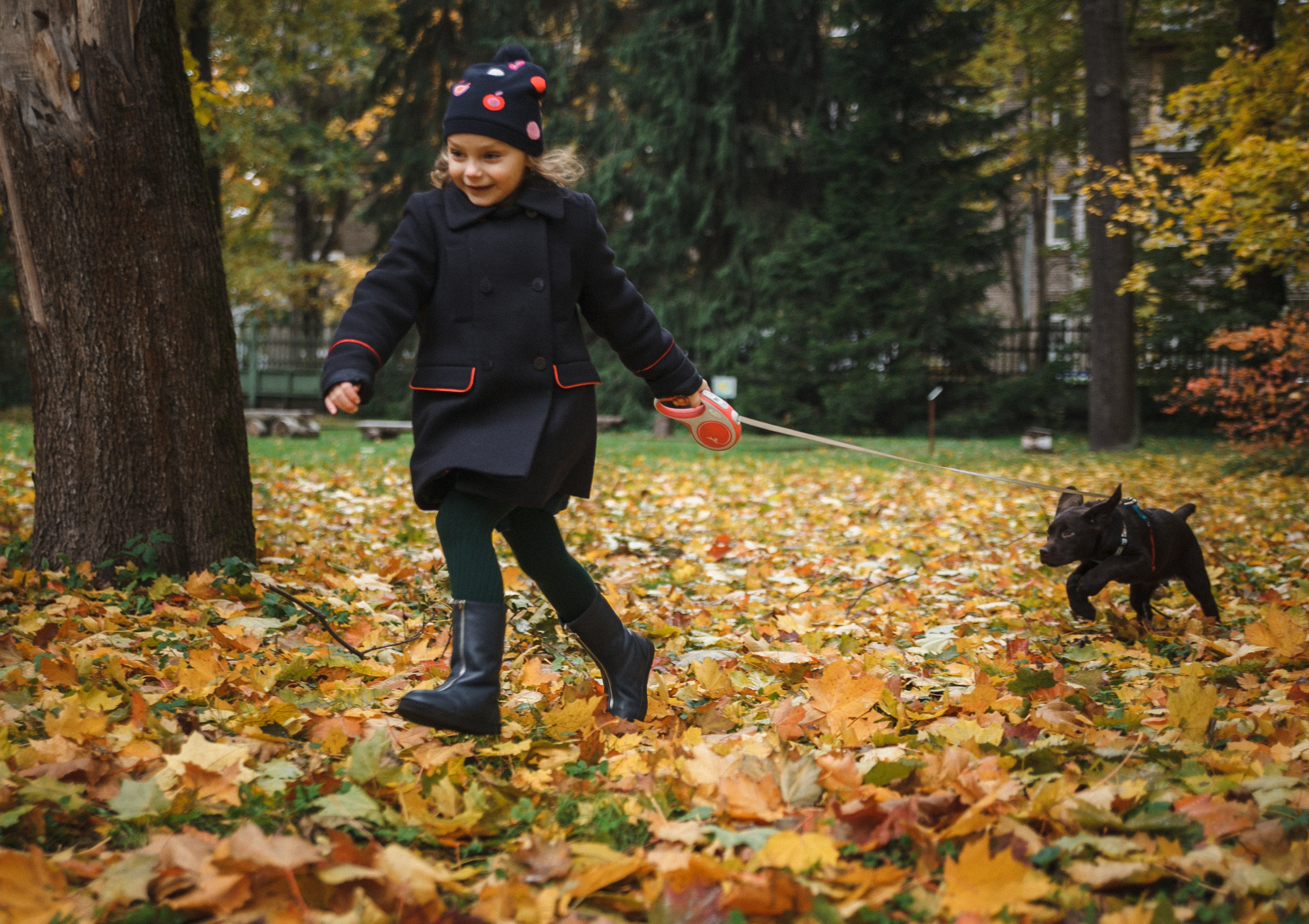 4 ноги, Терем, чай и 1 маленький хвост. Семейный фотограф, свадебный фотограф, женский портрет в Санкт-Петербу