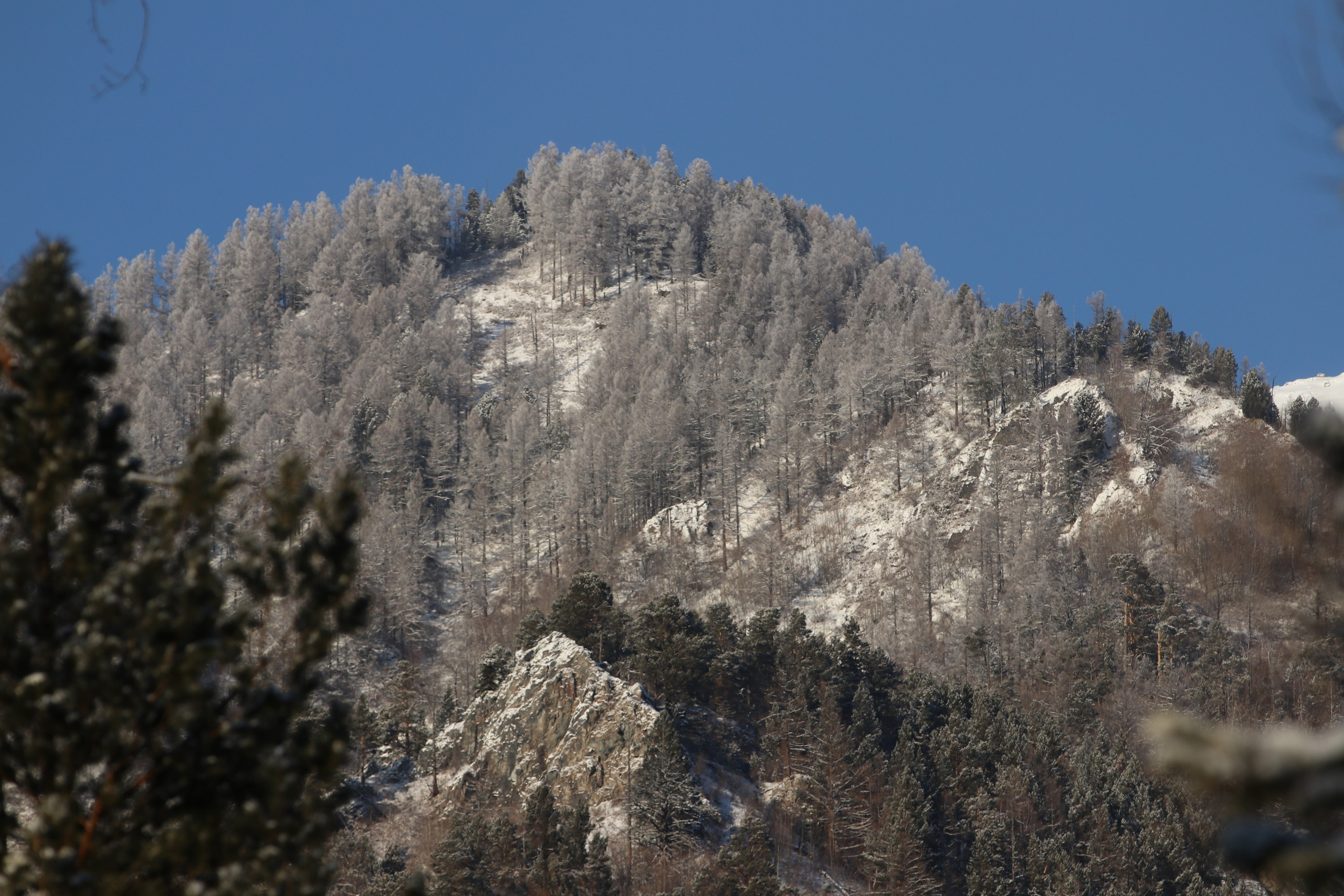 Аршан. Январь 2024. Путешественник-фотограф из Санкт-Петербурга Татьяна Свистулина