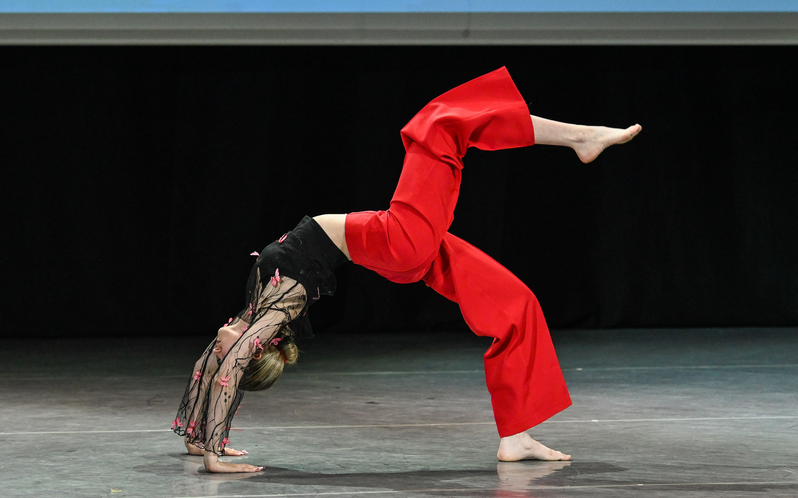 Медиастудия Фото Концепт