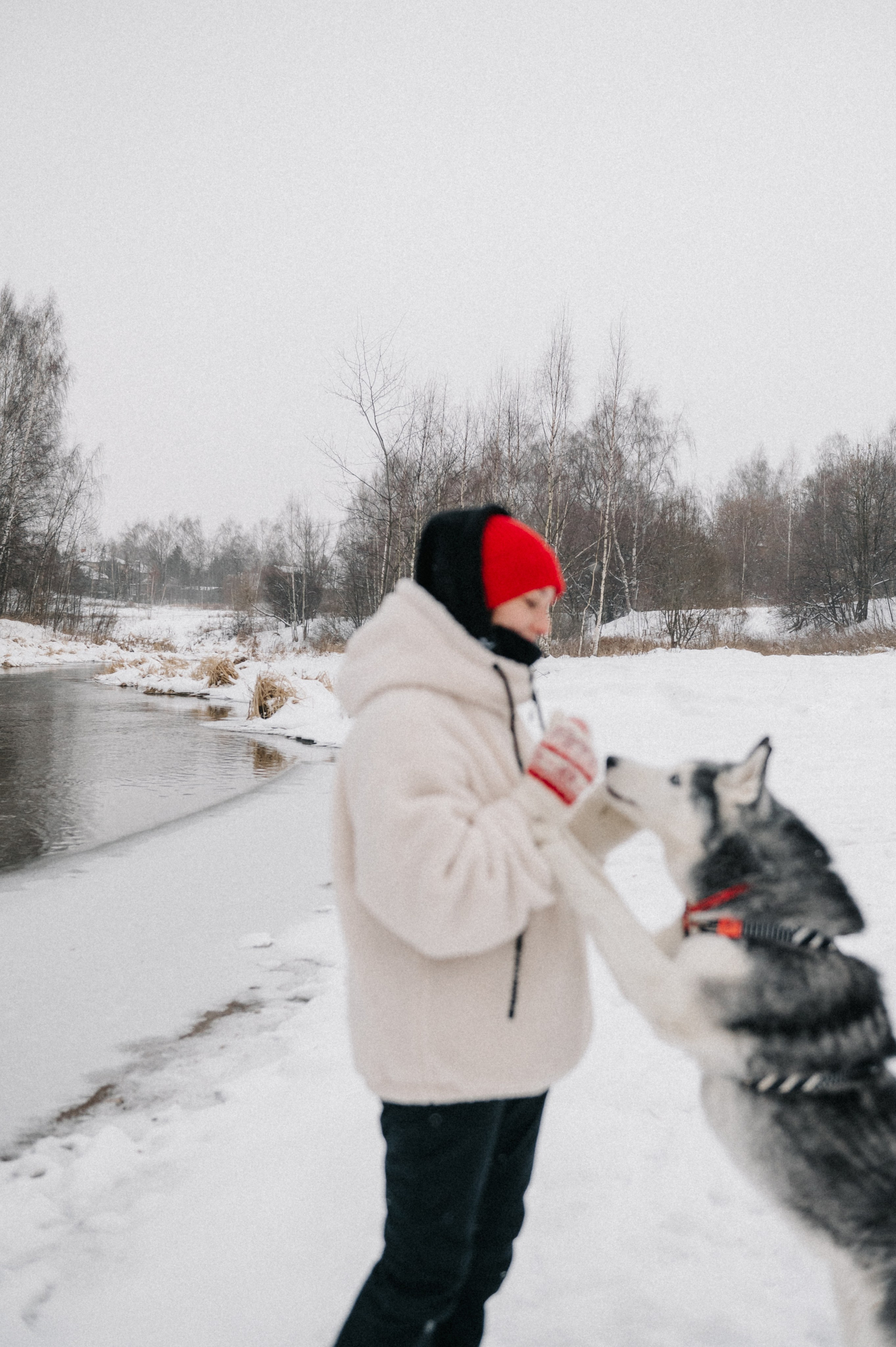 Люда и хаски Тегра (Королев, 2024). Анна Пушина, фотограф, Москва, Королев, Пушкино
