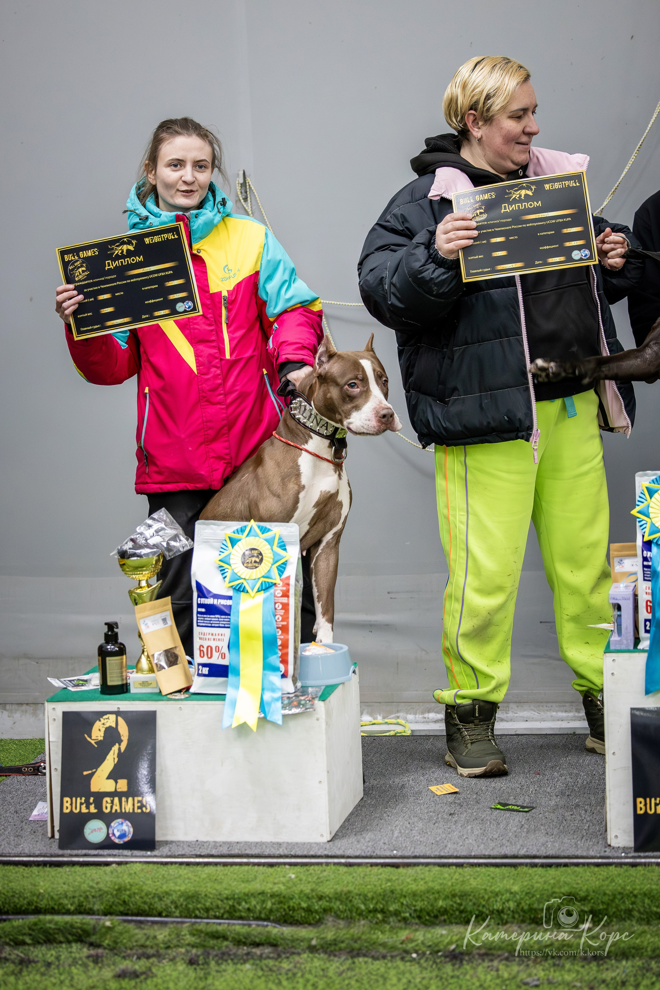 Спорт. Главная