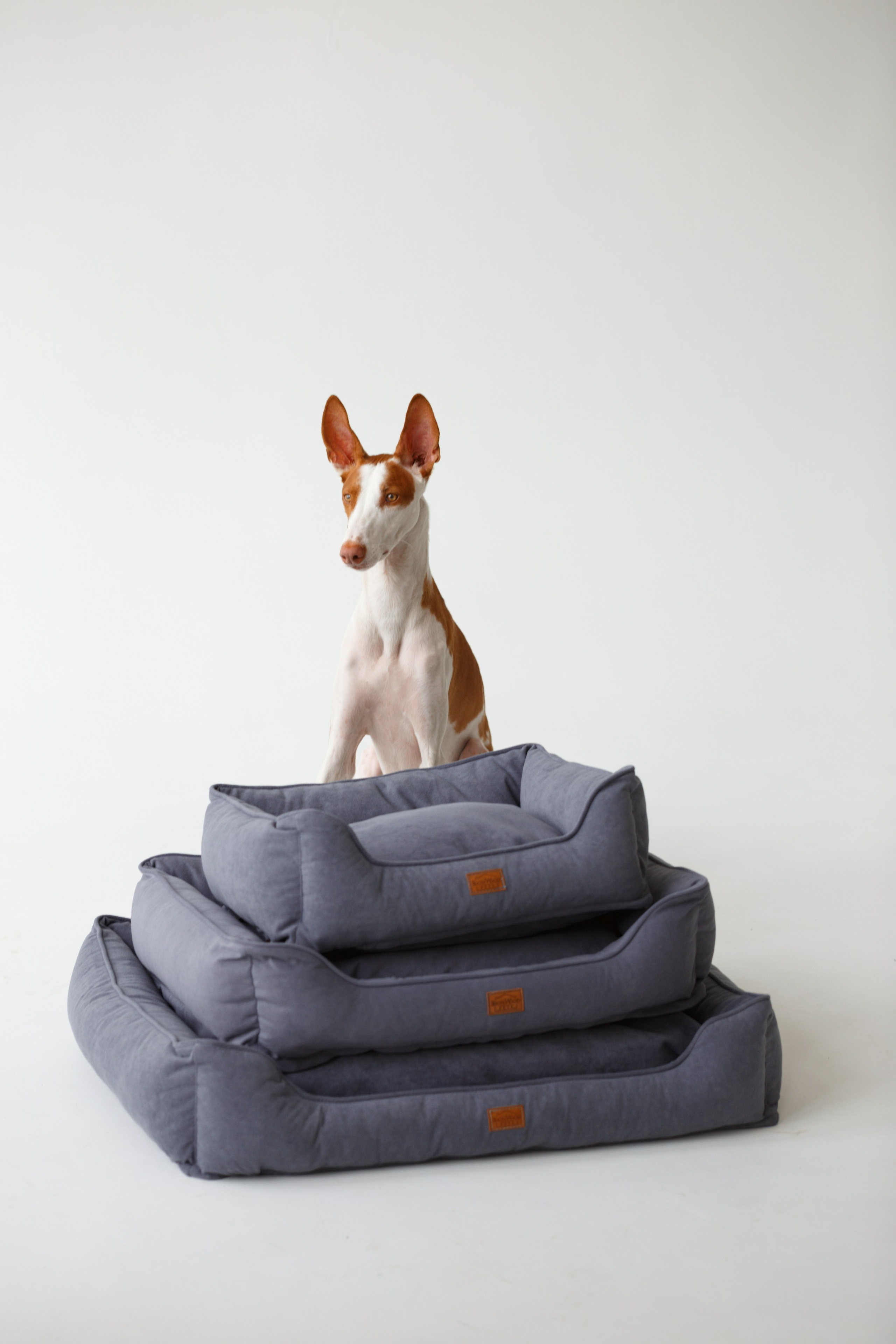 Boonwood Pets лежанки для животных. Фотограф анималист Кристина Карпова, Москва