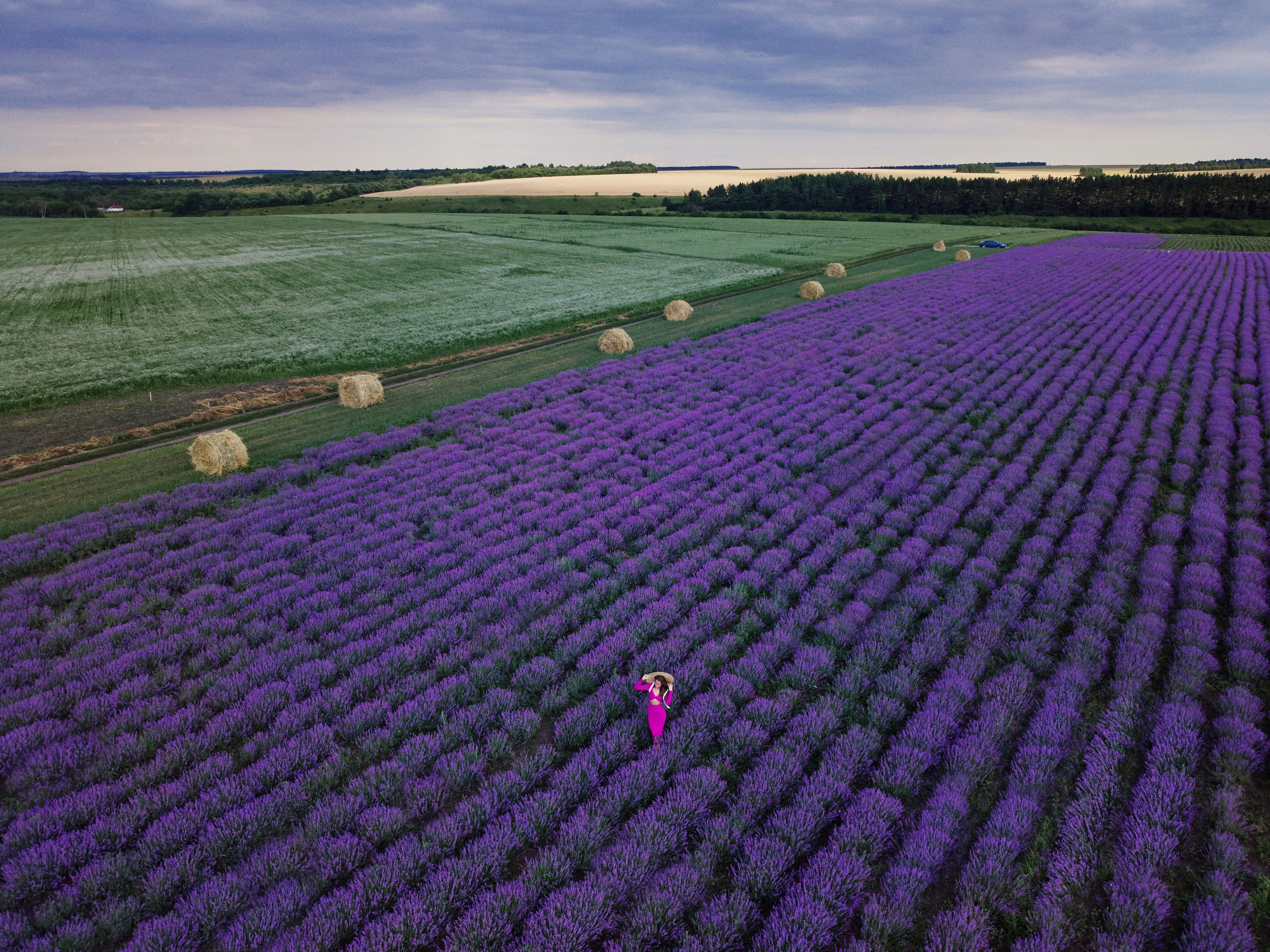 Фотосессия в лавандовом поле. Другой взгляд на фотографию