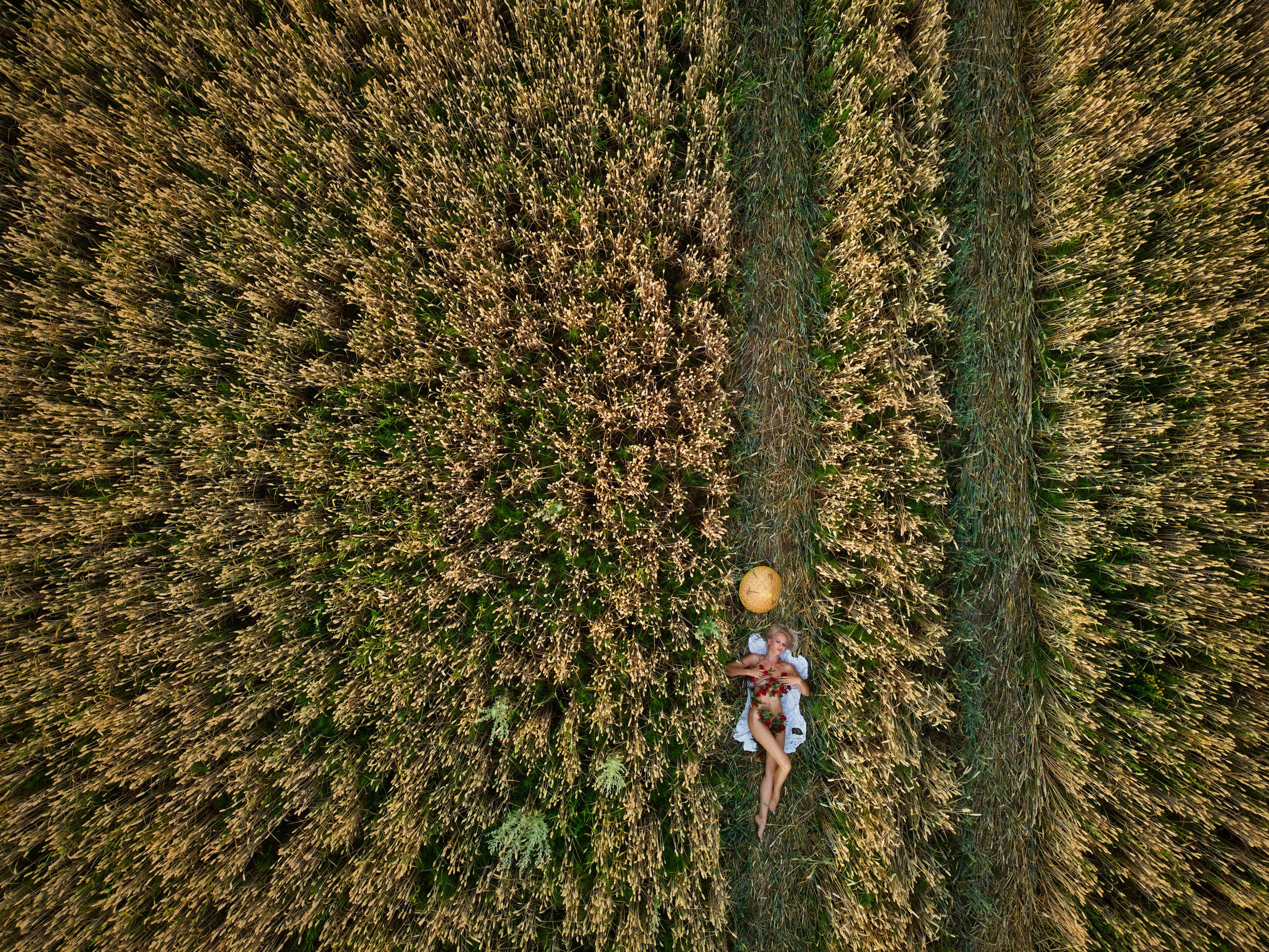 Девушка лежит в поле пшеницы. Аэросъёмка с дрона DJI mini2