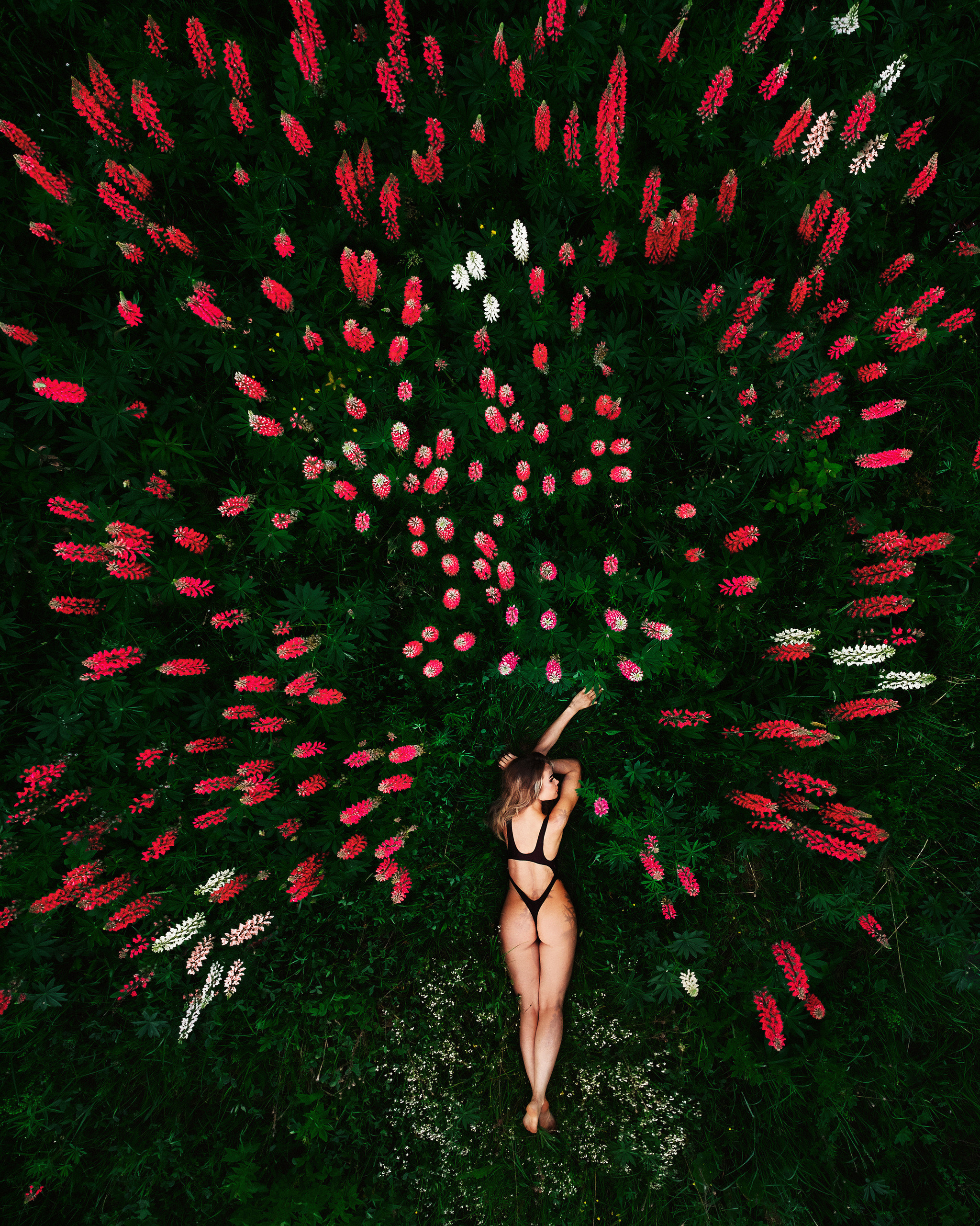 Сексуальная девушка среди цветов. Фотосессия с люпинами