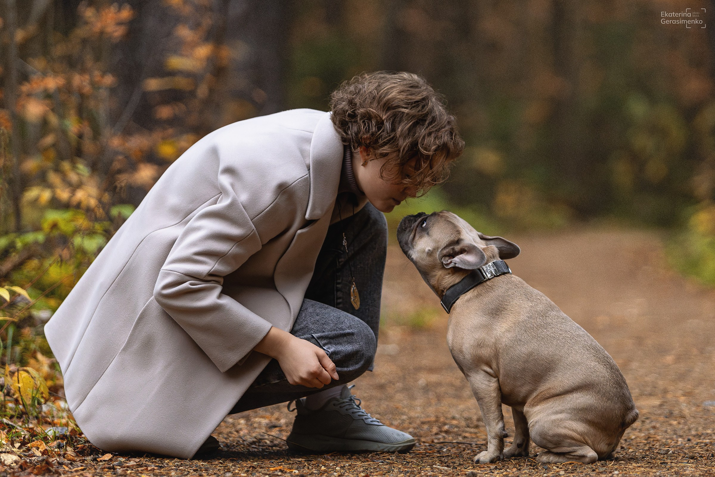 Французский бульдог Ника. Htykk_photo