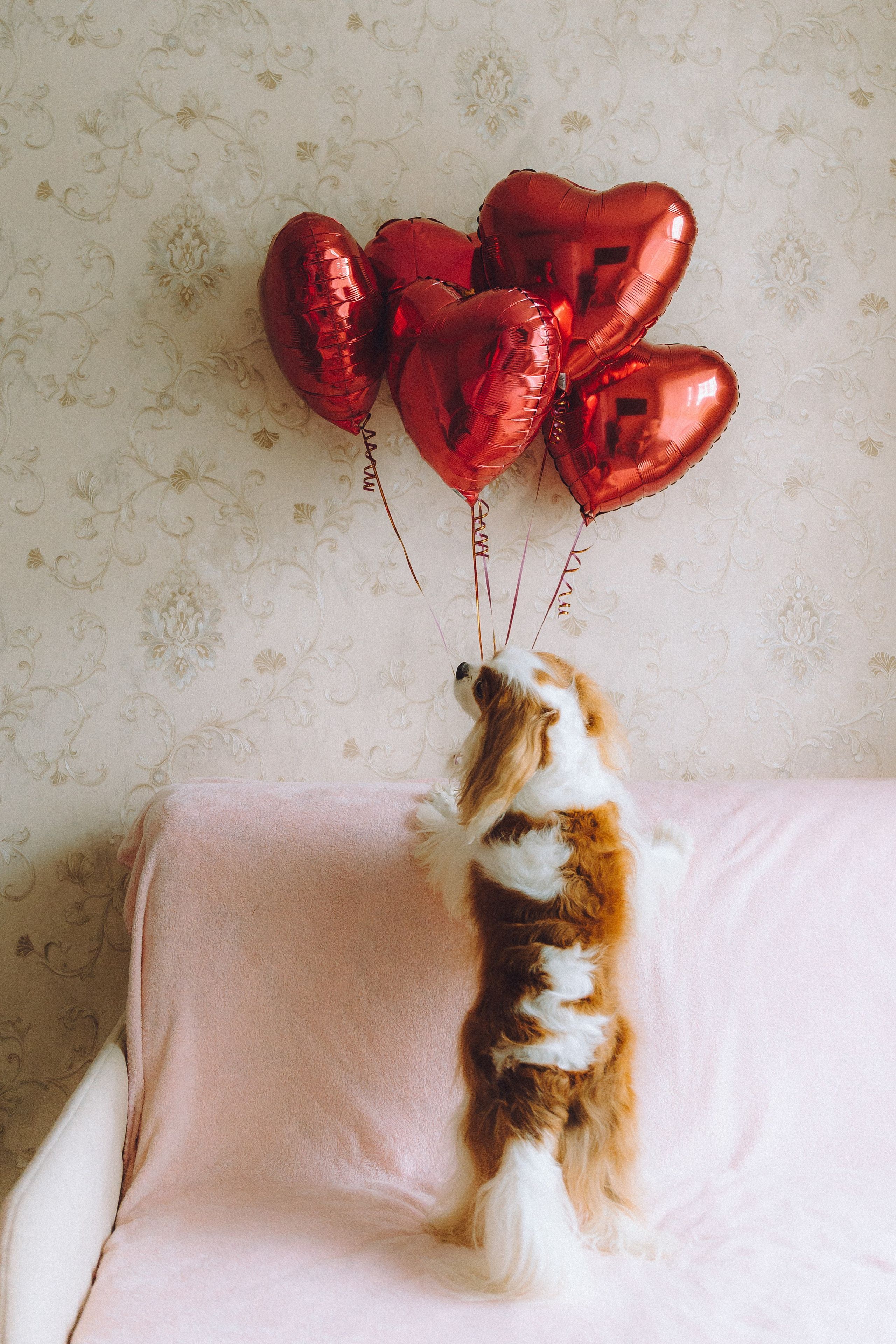 Наташа и Вики