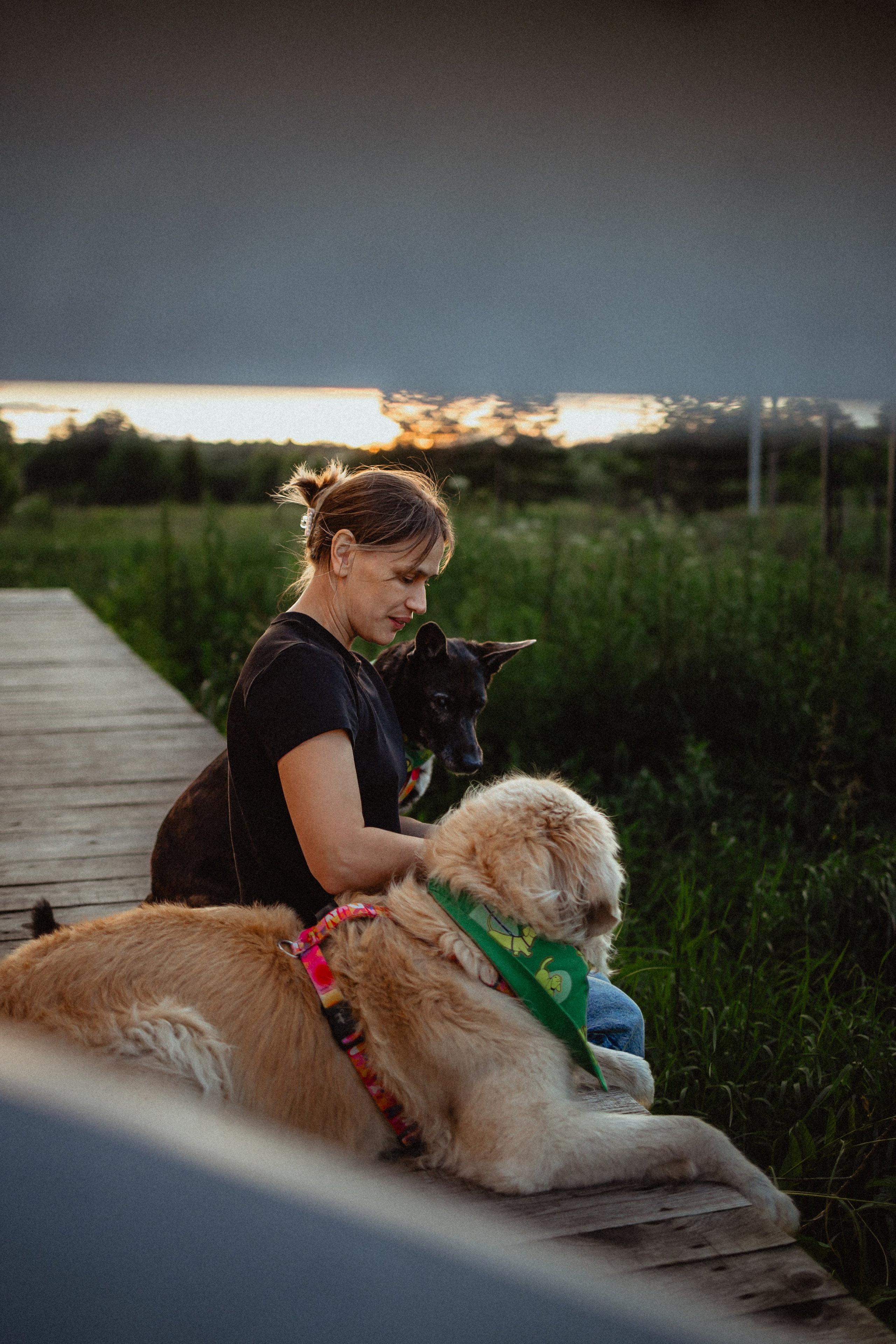 Выездной дог-тренинг от школы «Шерсть имею»