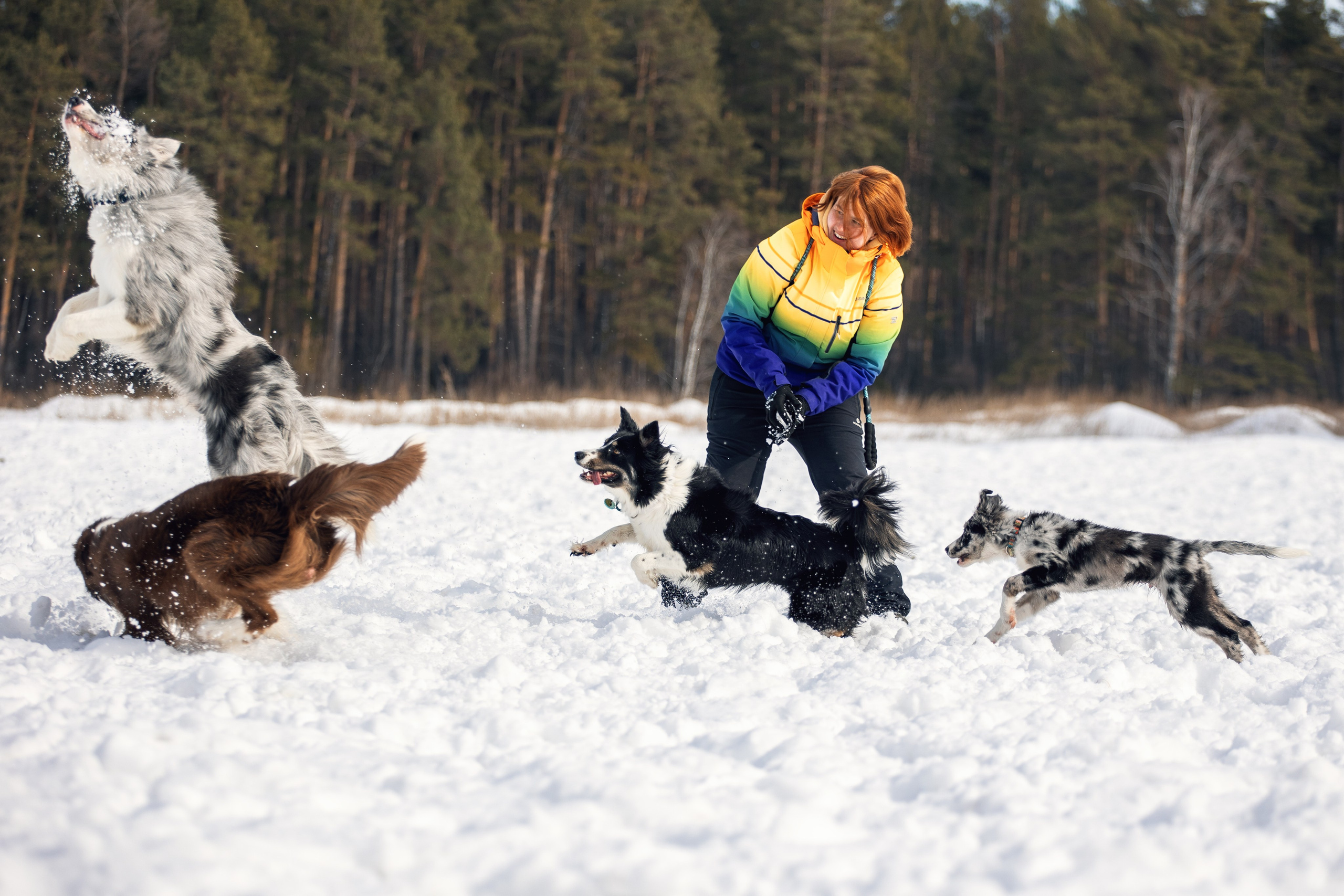 В погоне за снежком…. YULA KOLESOVA | Фотограф — Анималист | Художник | Тюмень