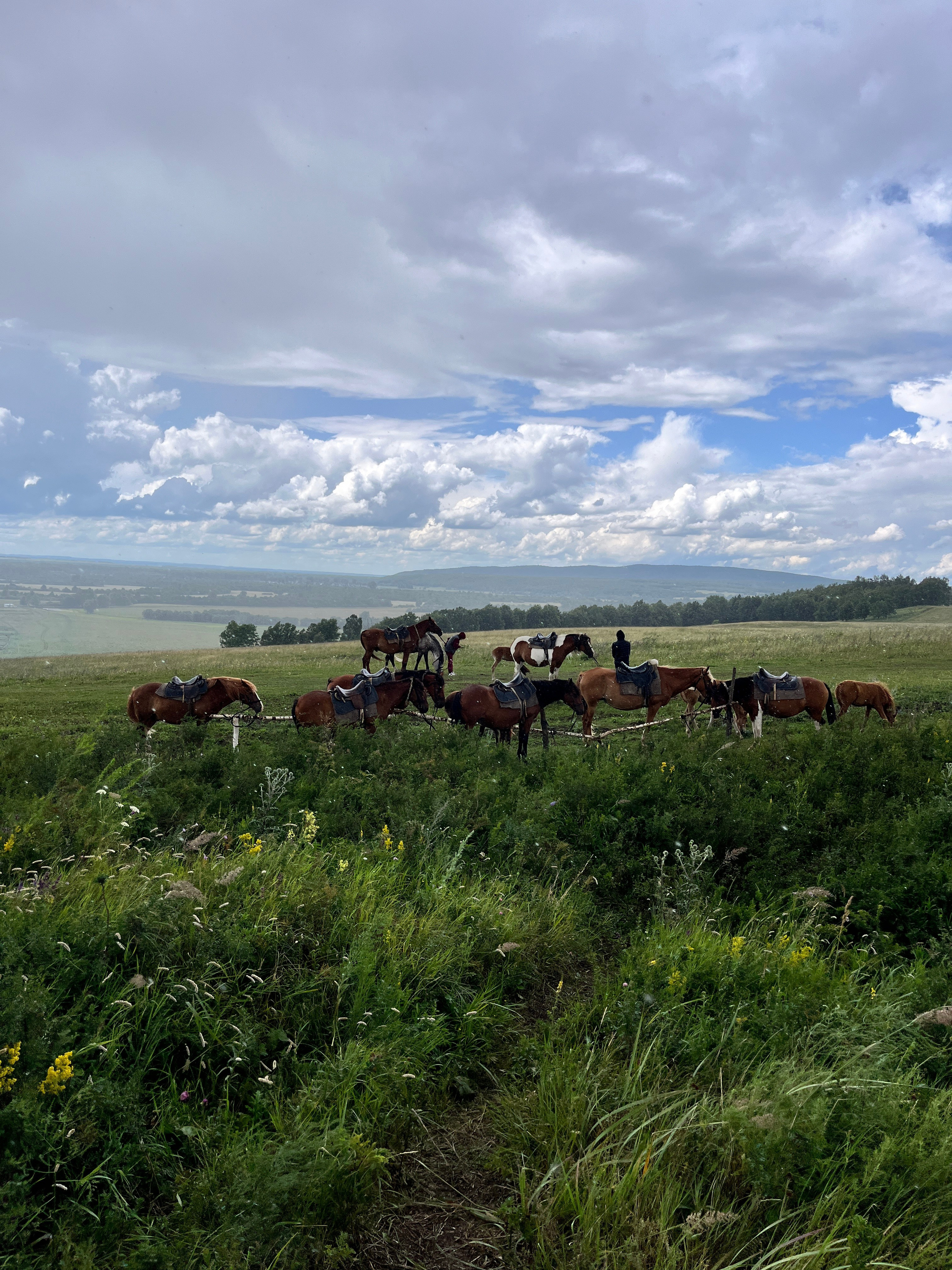 Конный тур к скале Акташ из Уфы — Время приключений