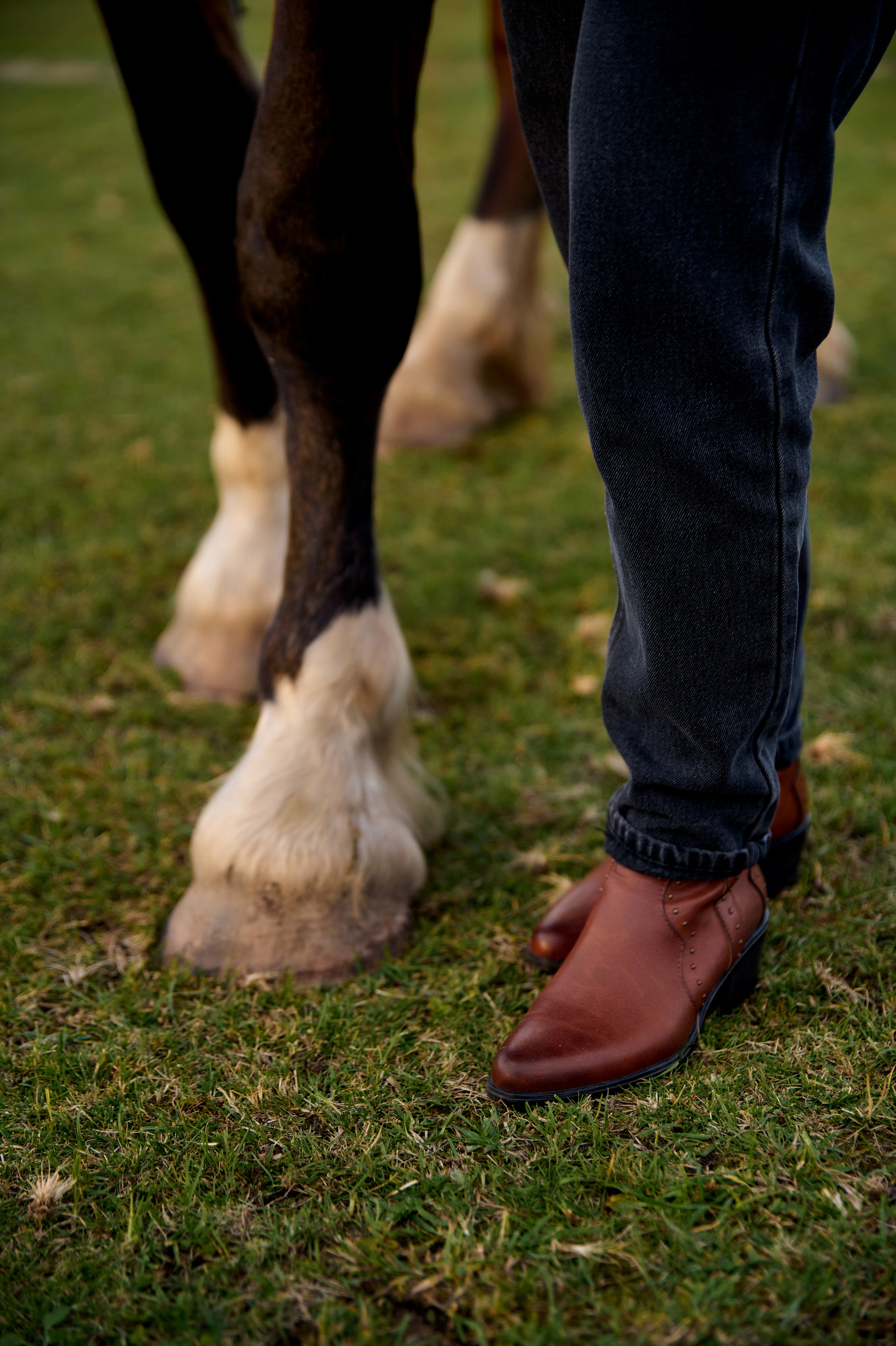 Анонс Фотодень 27.08. Фотограф Егорьевск Коломна Воскресенск