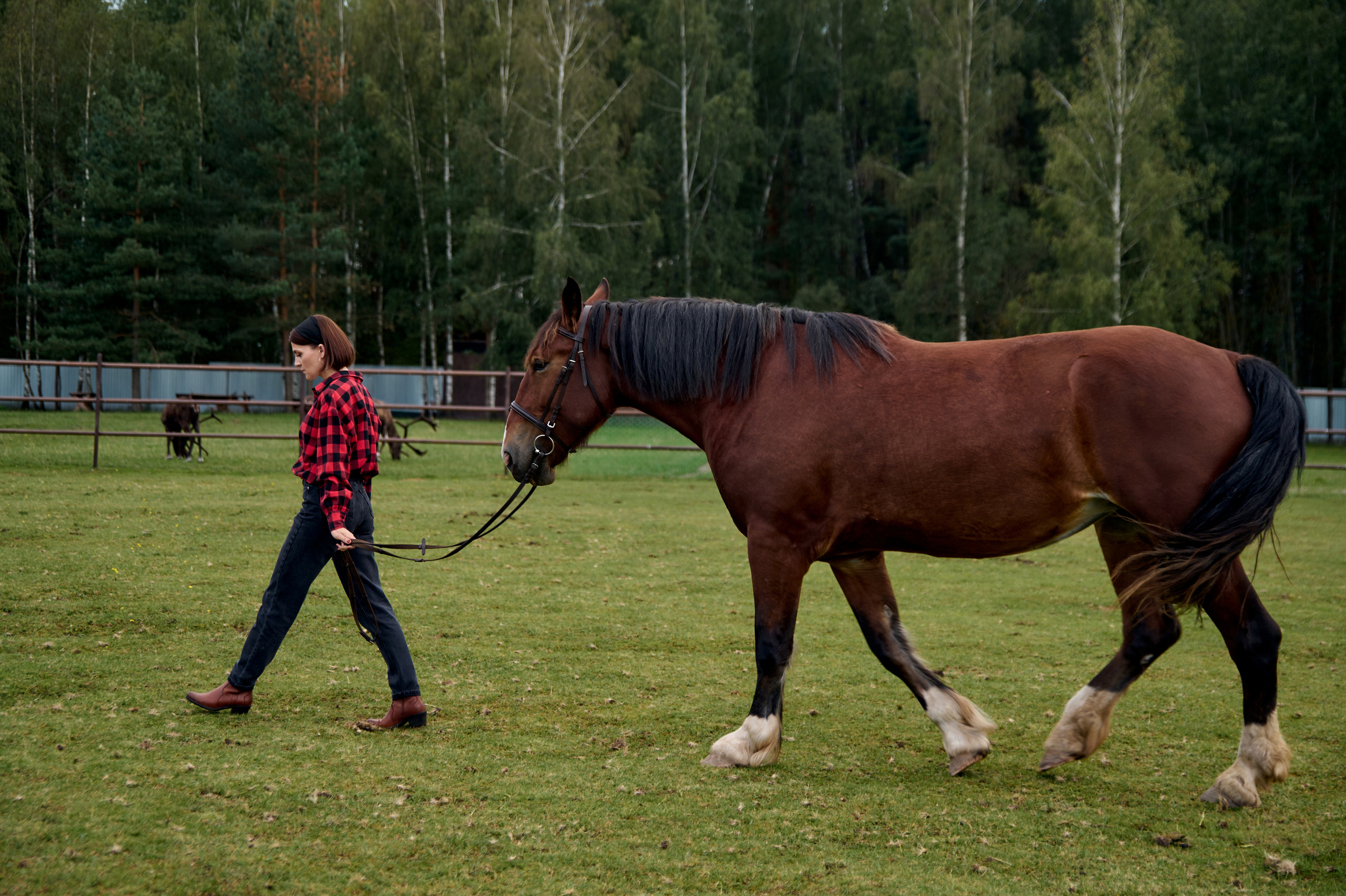 Анонс Фотодень 27.08. Фотограф Егорьевск Коломна Воскресенск