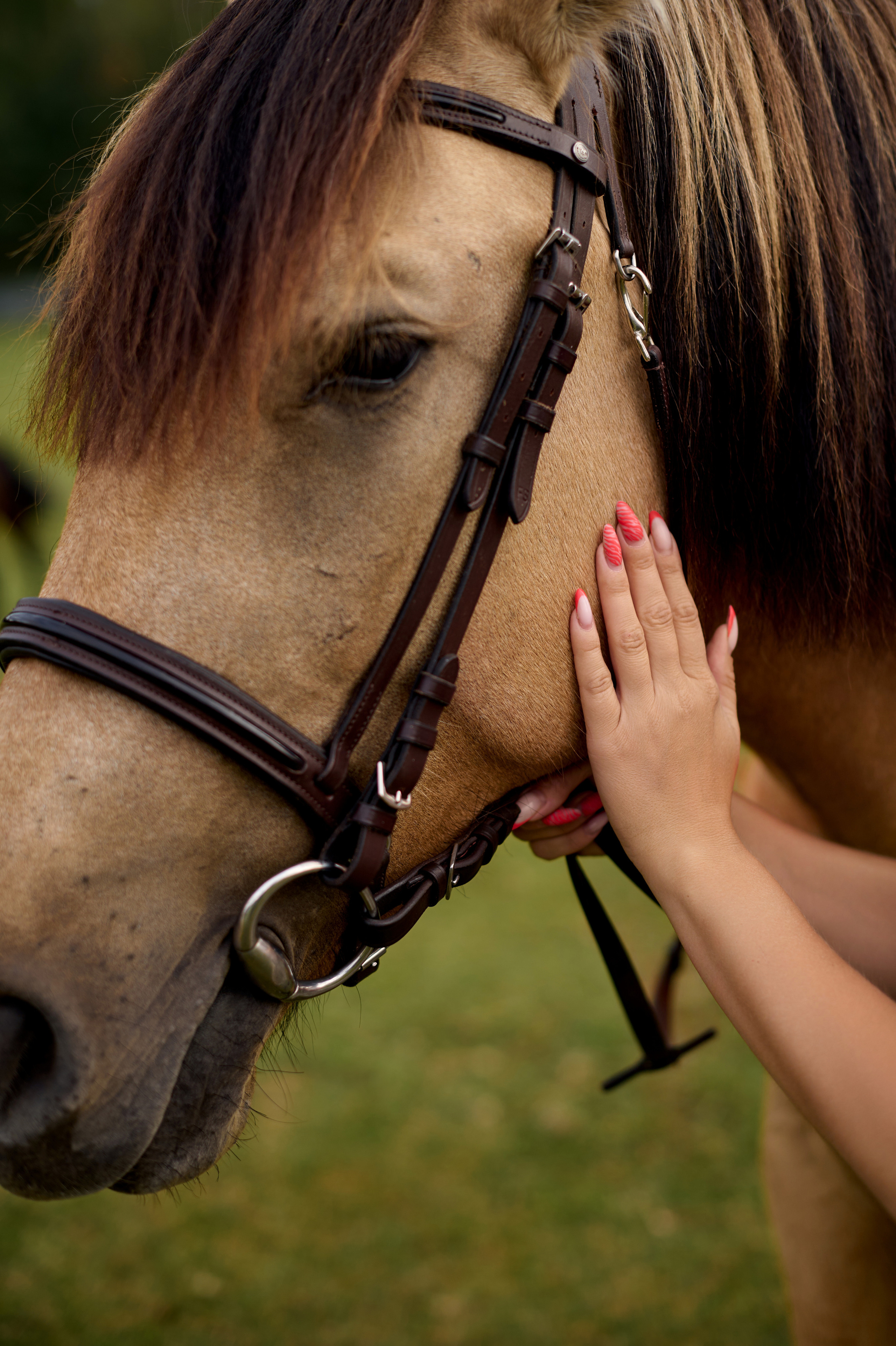 Анонс Фотодень 27.08. Фотограф Егорьевск Коломна Воскресенск