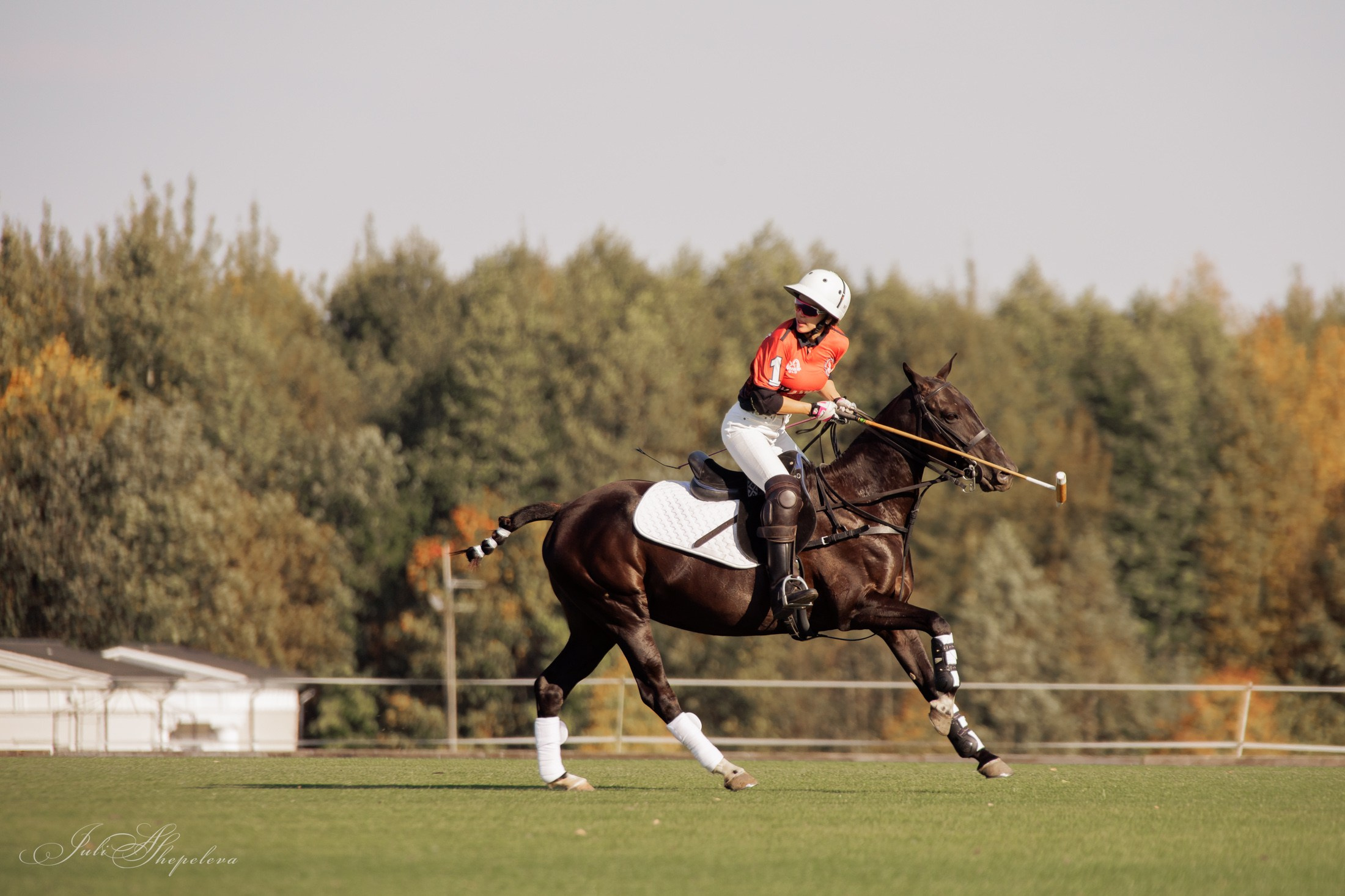 Осенний кубок по конному поло. Детская Конная фотография в Москве Юлия Шепелева