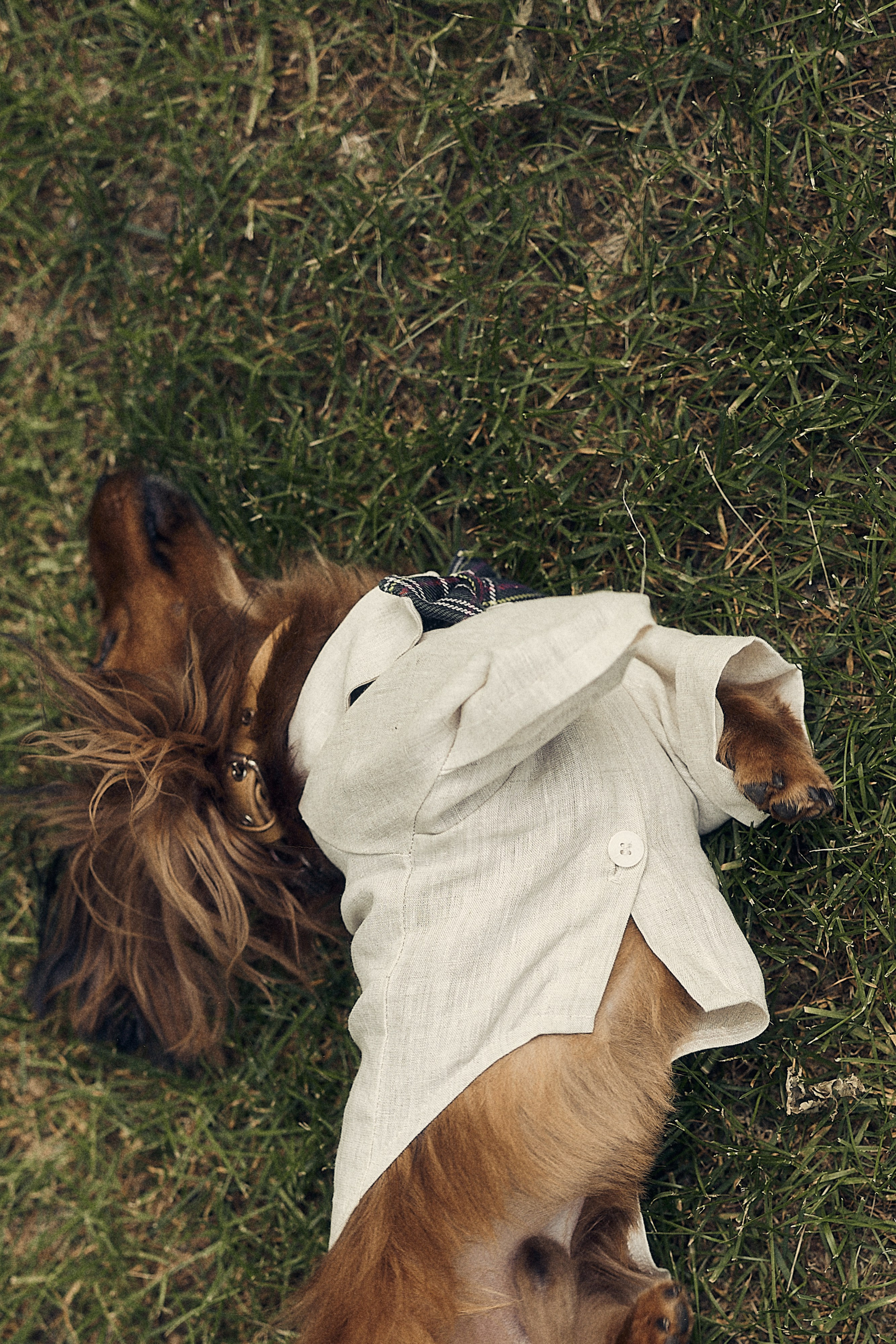 Анастасия и Влад. Свадебный и семейный фотограф в Иваново и Москве Мильков Вадим