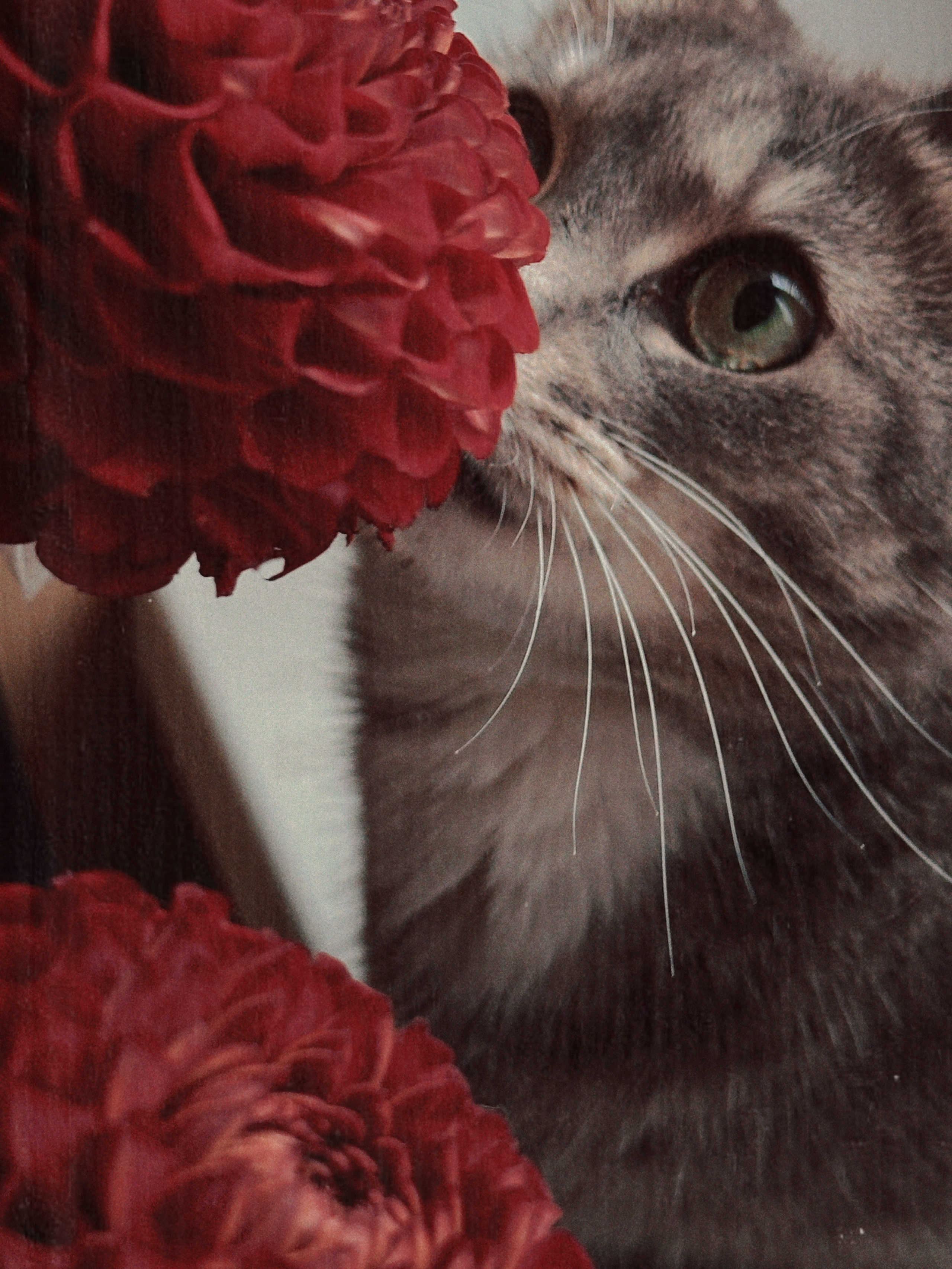 Предметная съёмка. Чувственный мобильный фотограф в Казани и Сочи Дьяченко Дарья