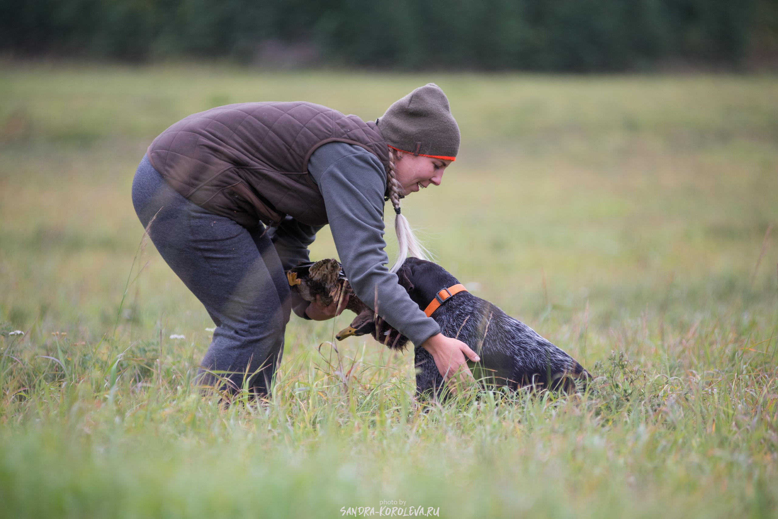 Рабочие дипломы. Главная
