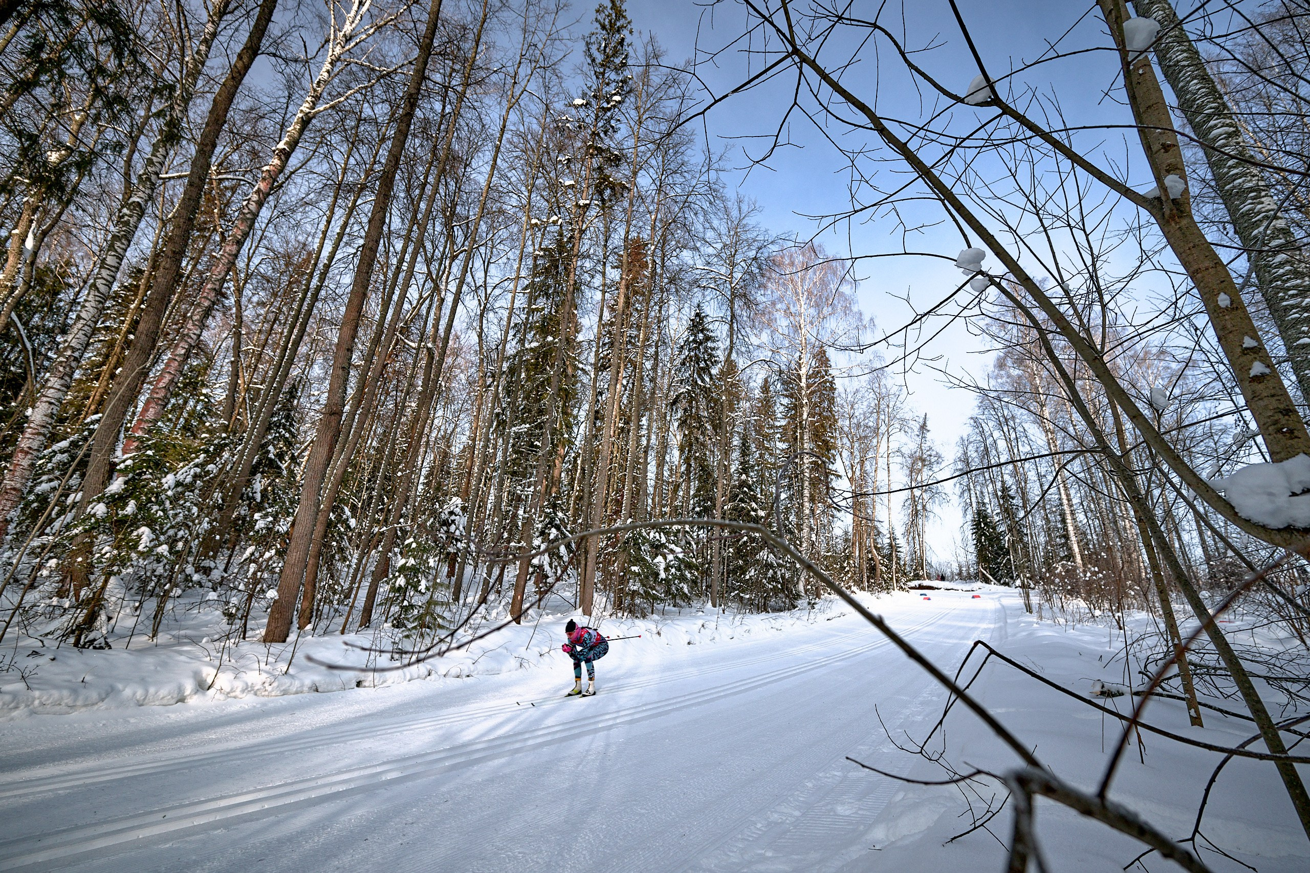 VI этап ФосАгро Кубка России по лыжным гонкам. Ижевск 25.01.2025 и 26.01.2025. Спортивный репортажный фотограф в Ижевске Сергей Мерзляков