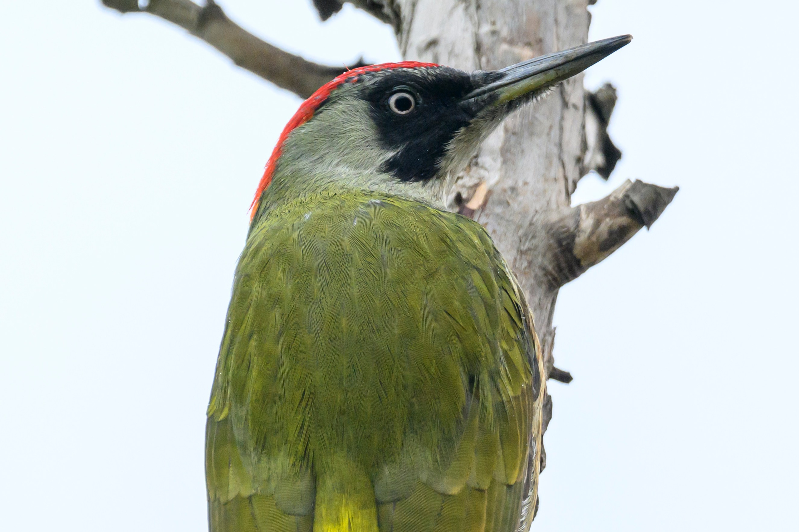 Дагестан. Ноябрь 2025. Фотограф Сергей Пупонин