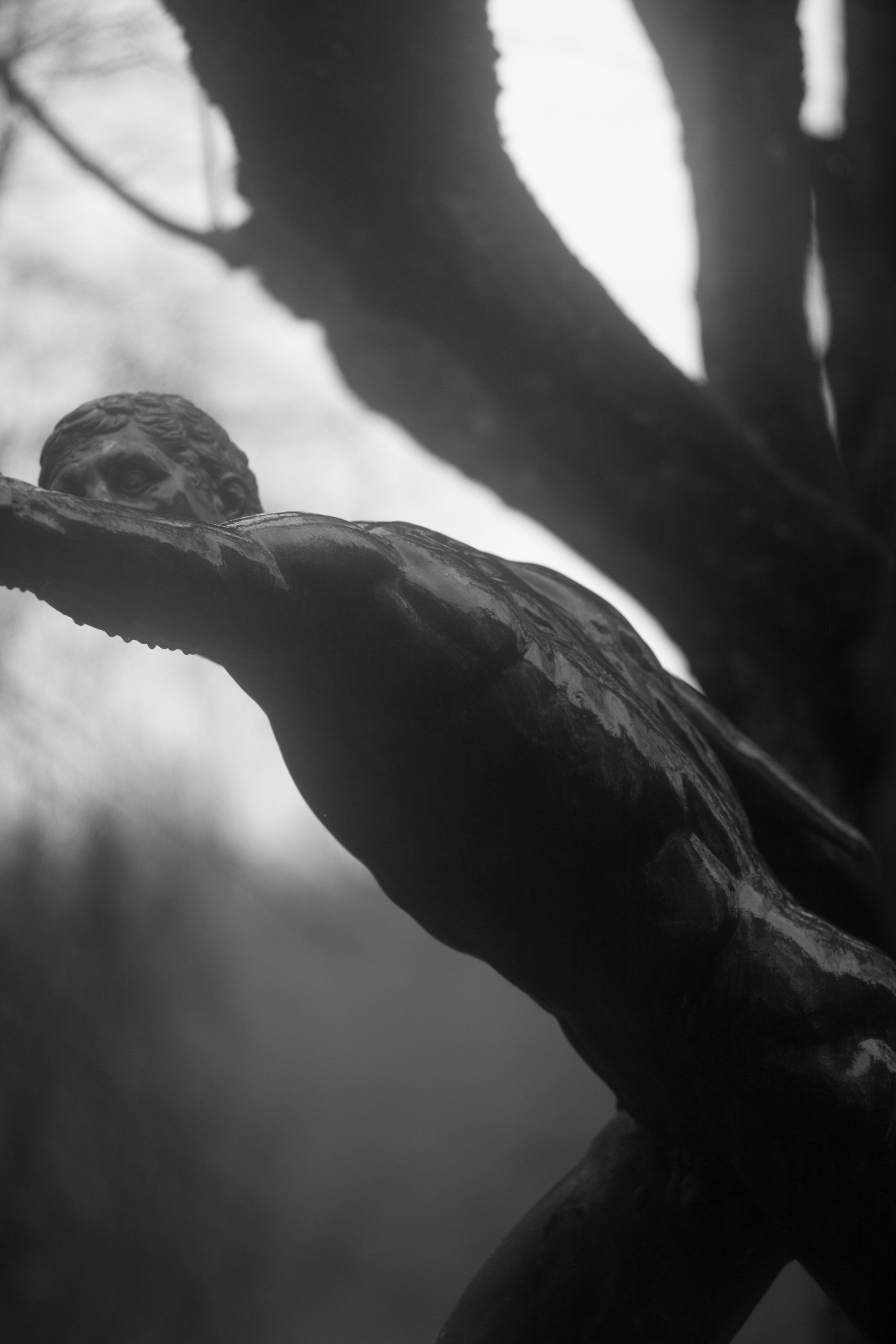 Елена Цихон художник фотографии и мастер фото-ДНК