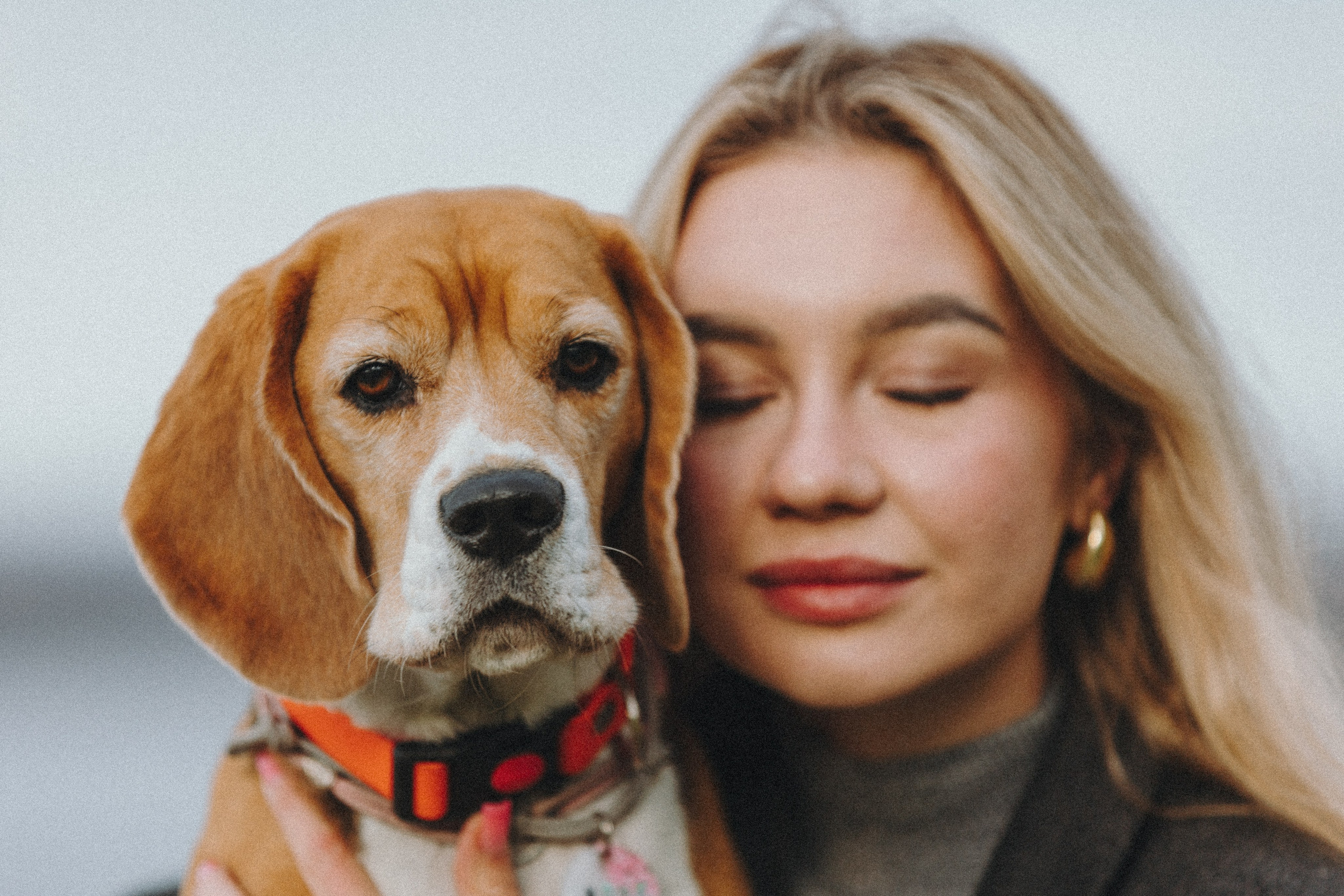 Аня и Моня. Фотограф — анималист Светлана Кысса|фотограф собак в Краснодаре и Нижнем Новгороде