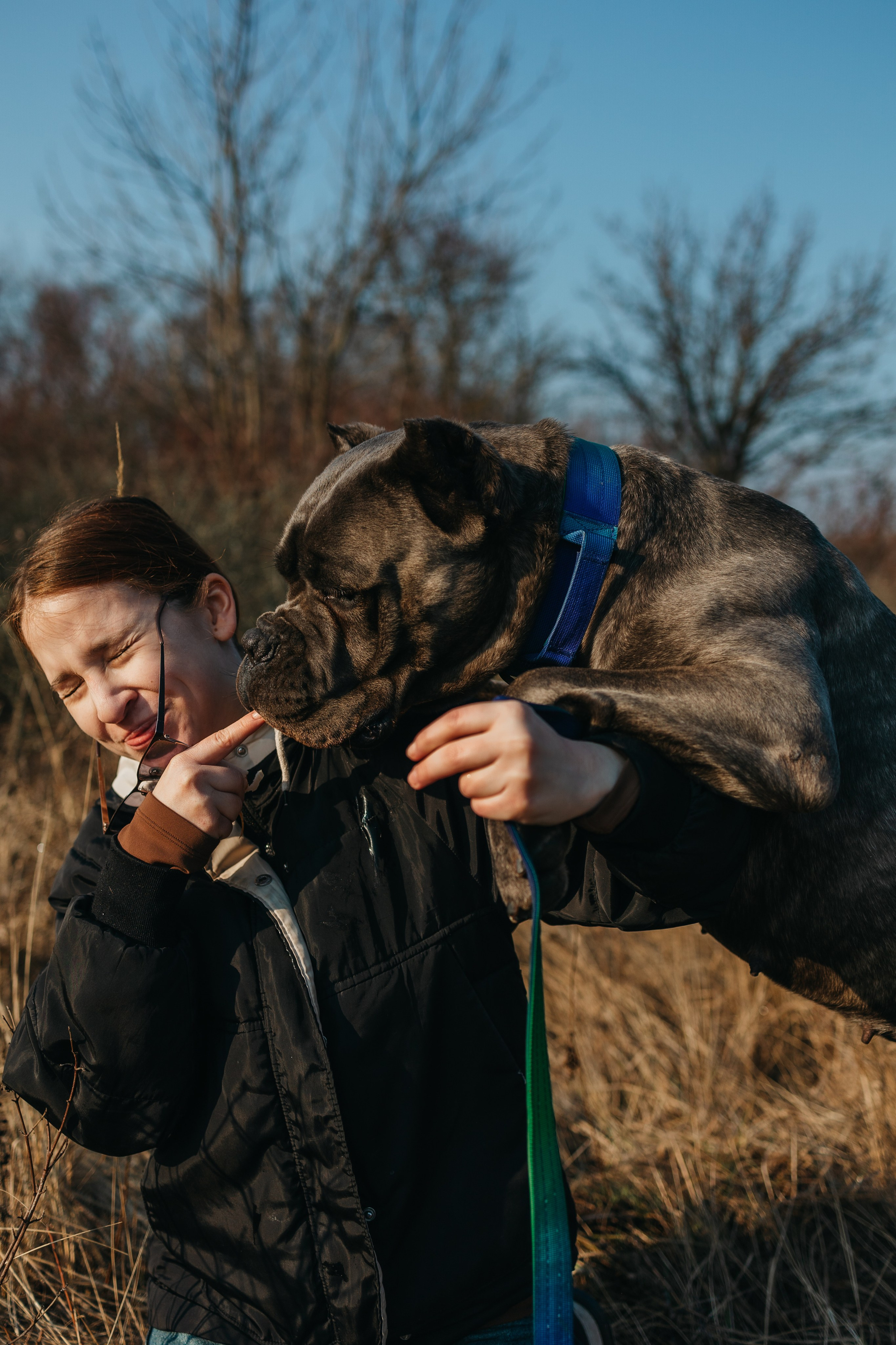 Лера, Ума и Винни. Фотограф — анималист Светлана Кысса|фотограф собак в Краснодаре и Нижнем Новгороде