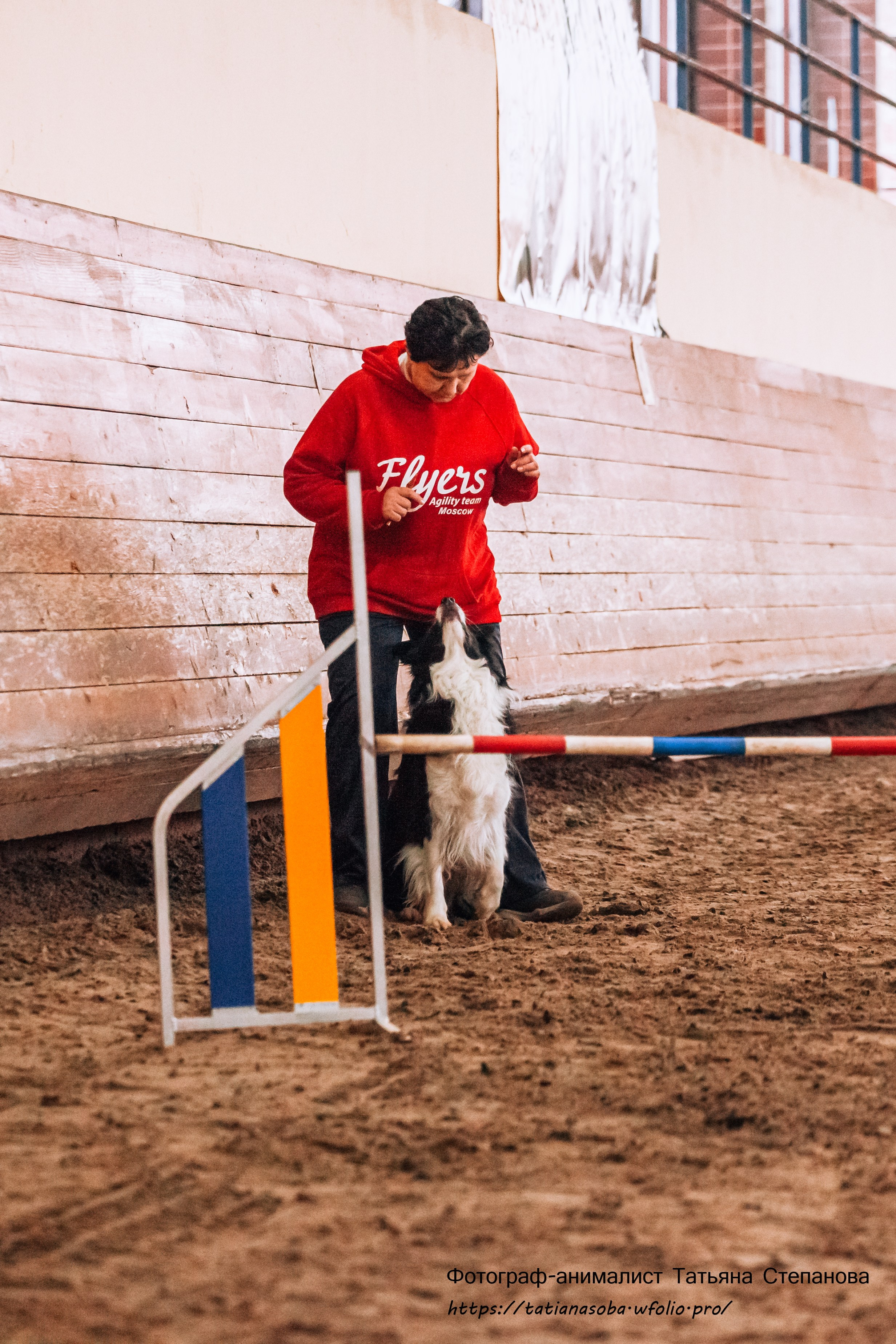 Соревнования по Аджилити 25.02.2024. Фотограф-анималист Татьяна Степанова
