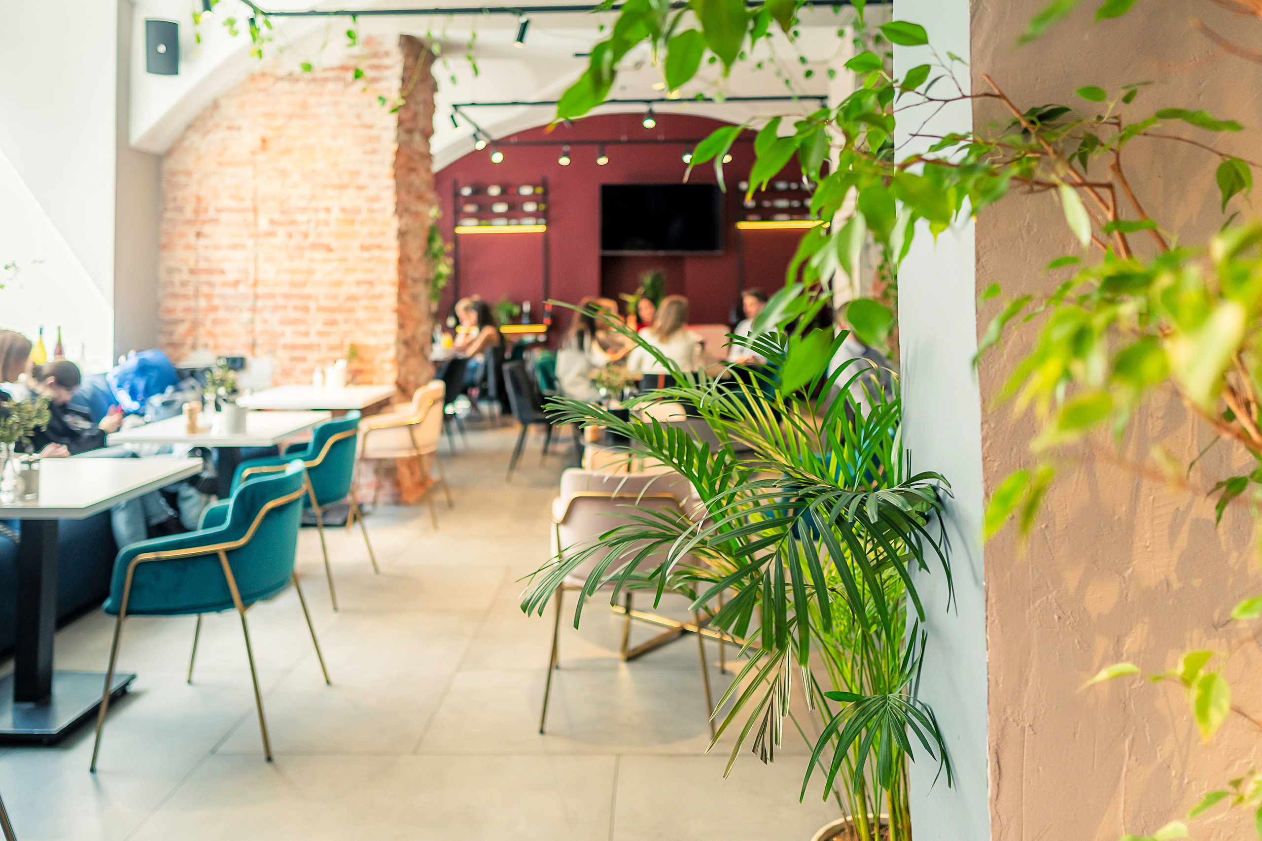 Съёмка кафе для рекламы в соцсетях и на сайте