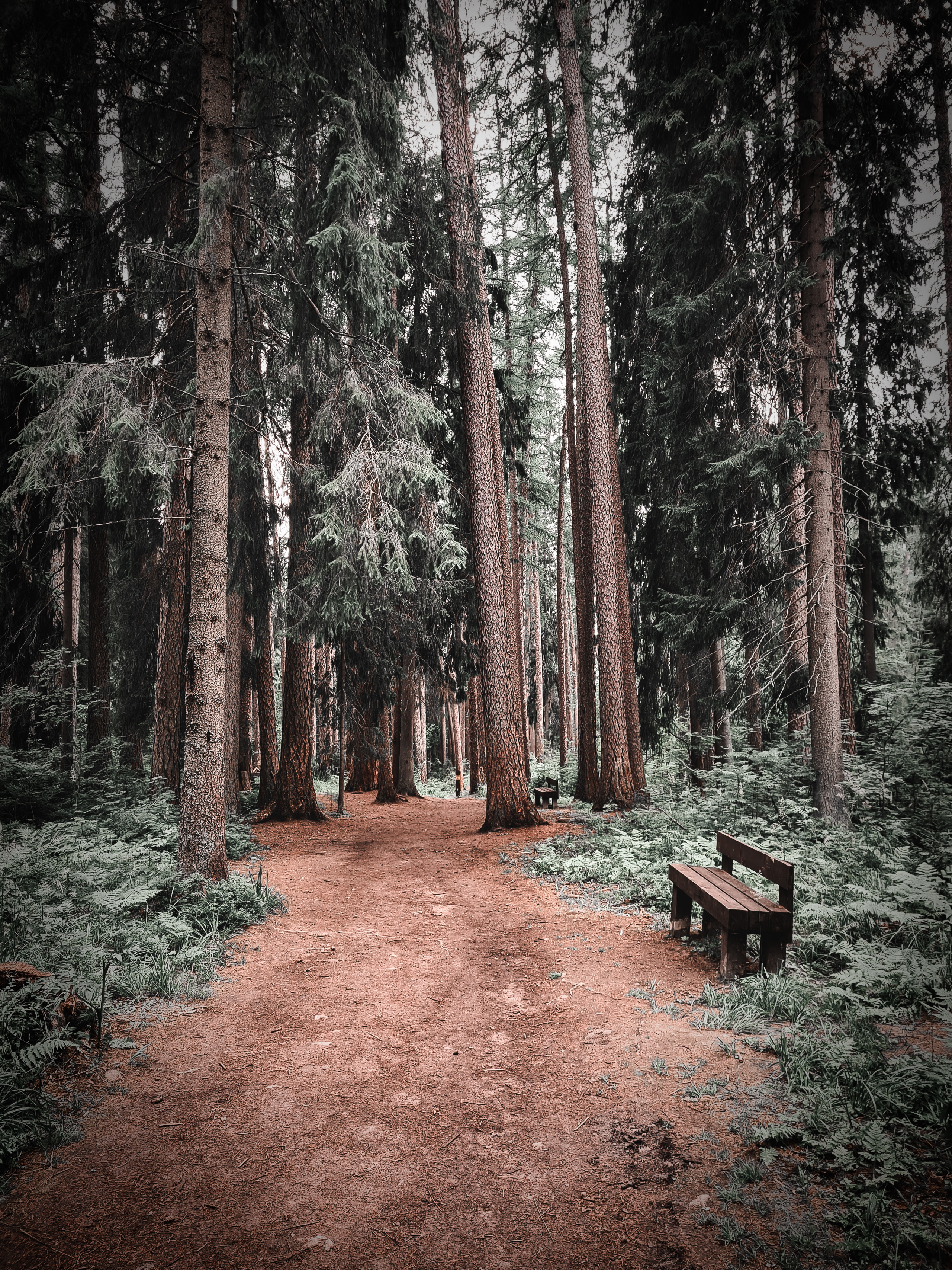 Фристайл. Фотограф интерьеров, предметный фотограф, портреты