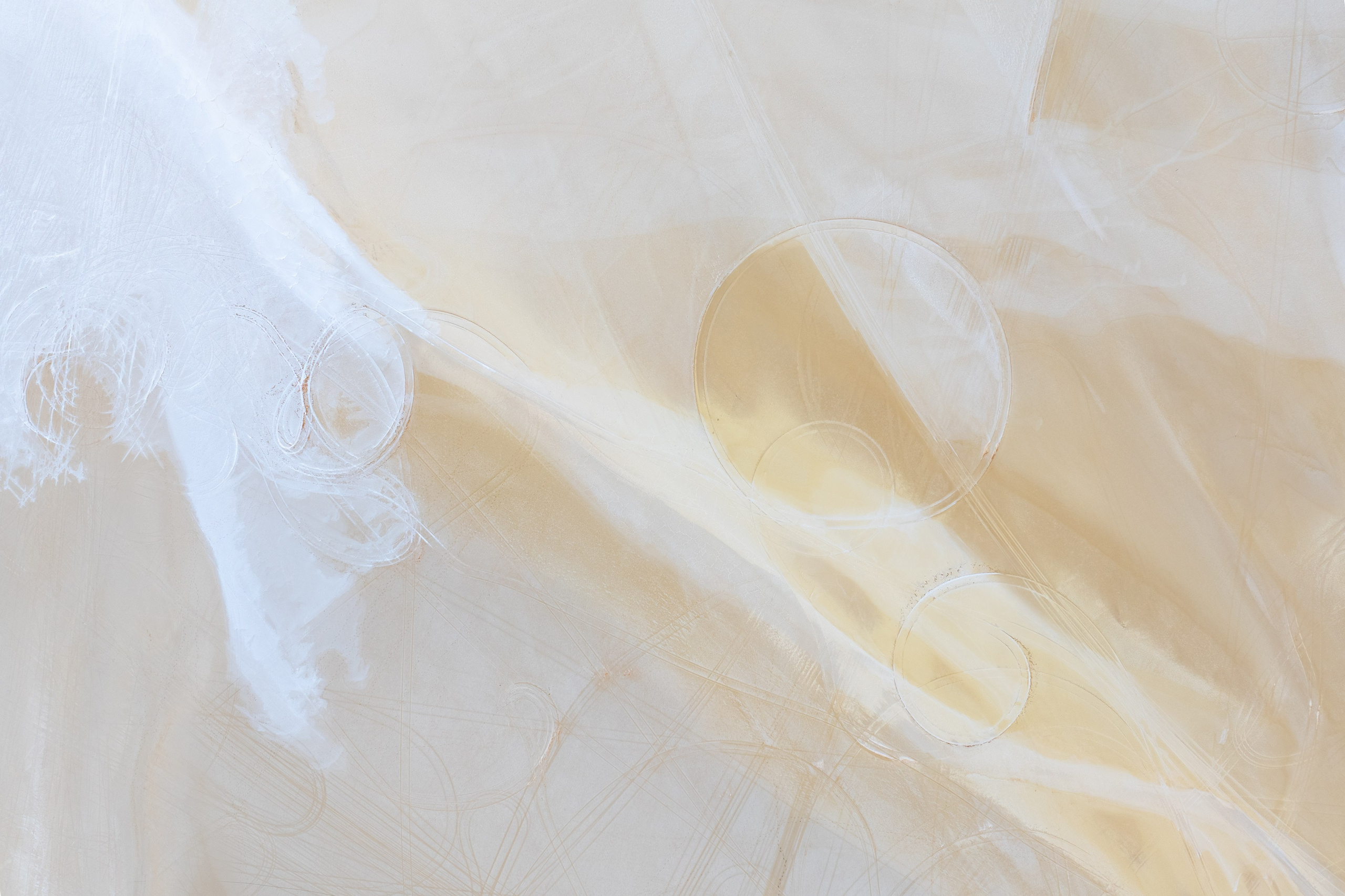 Казахстан. Andrew Gusarov Nature Photography