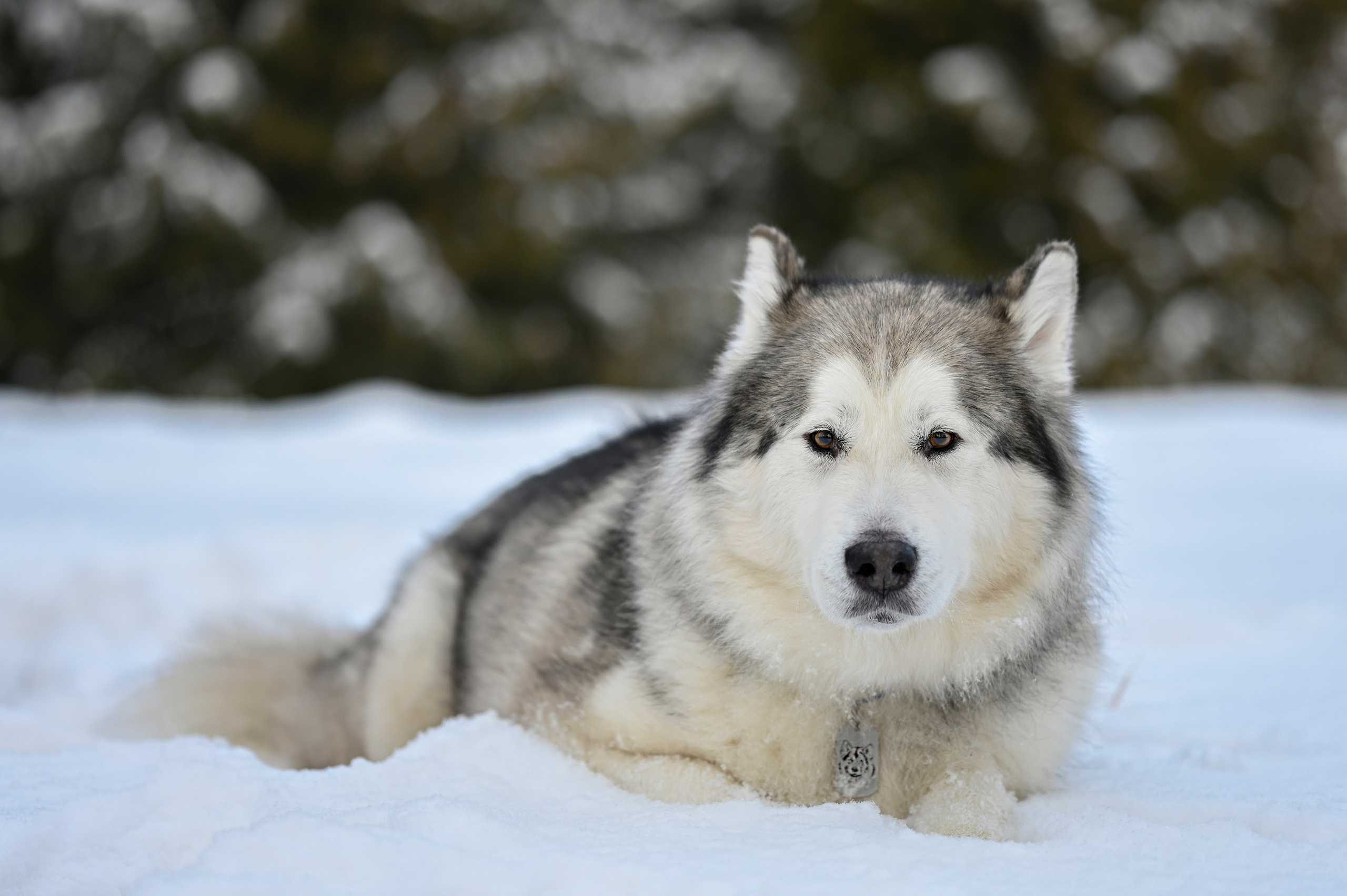 Прогулка в парке Долгие пруды. Детский и семейный фотограф г. Москва Оксана Катаджи