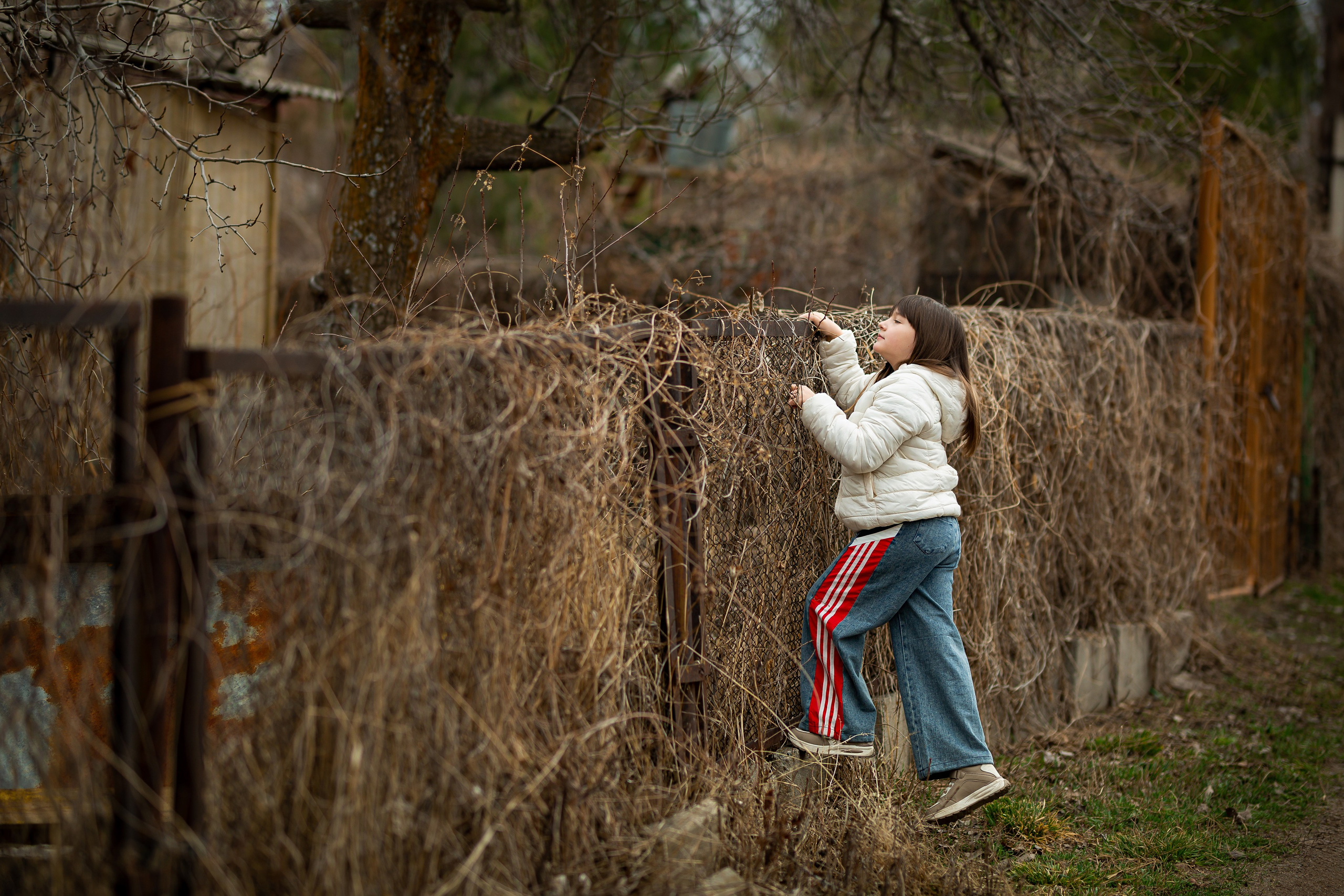 На даче у бабушки. Отбасылық фотограф Алена Шаталова