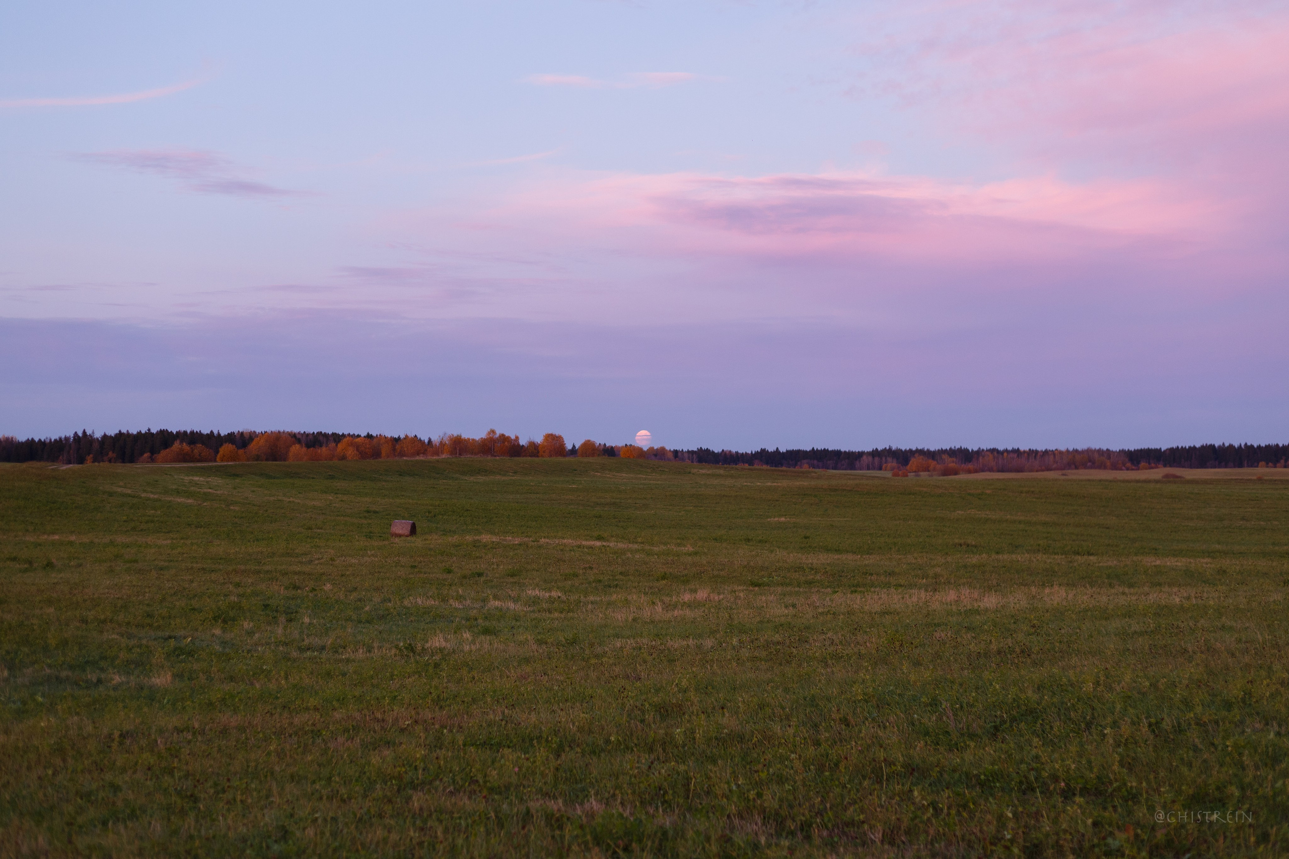 Октябрьский закат в полях. Алина и Лео. Фотограф-анималист Наталия Чистюхина в г. Сосновый Бор и ЛО