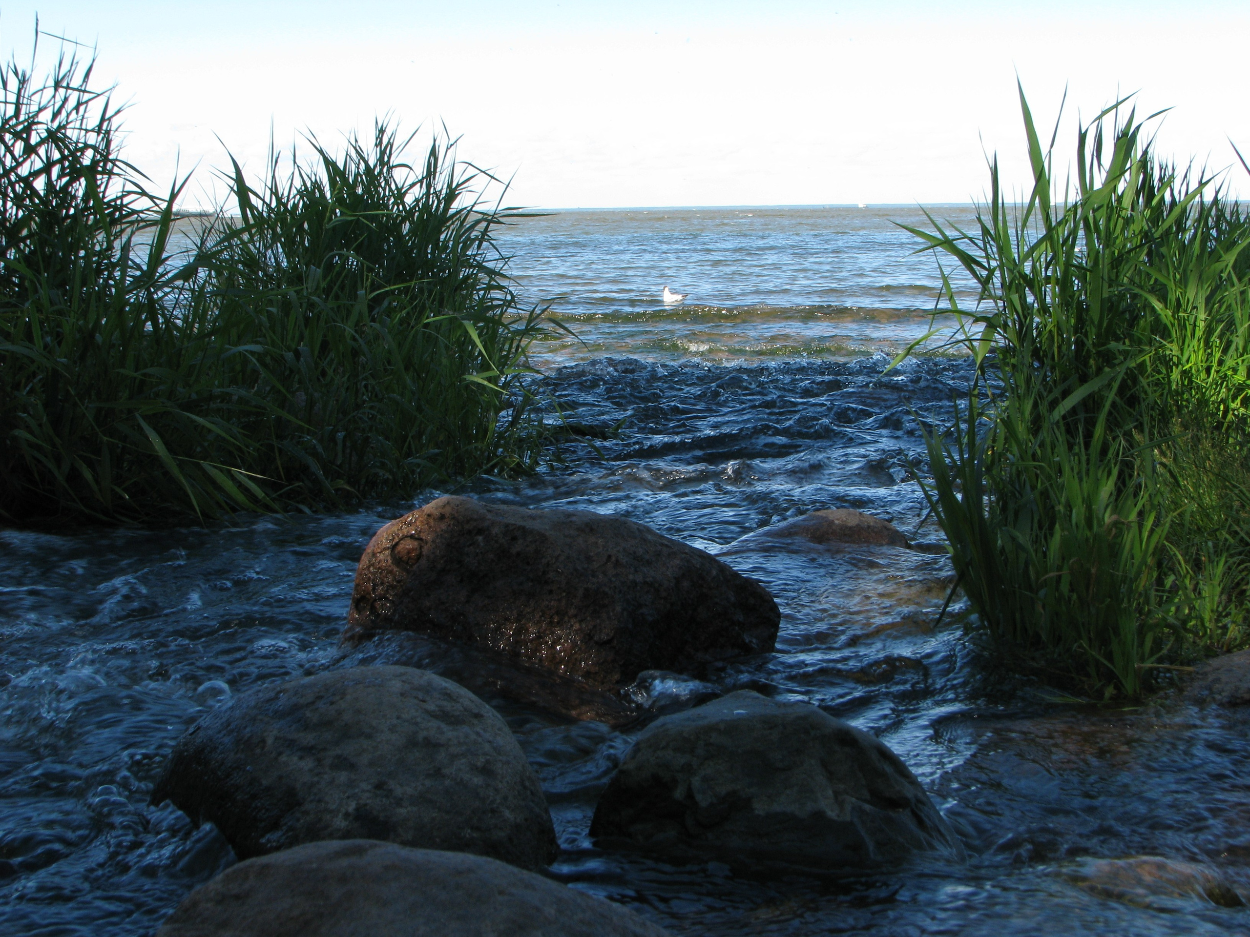 Природа. Вода и огонь. Фотограф в Санкт-Петербурге Александр Костюнин
