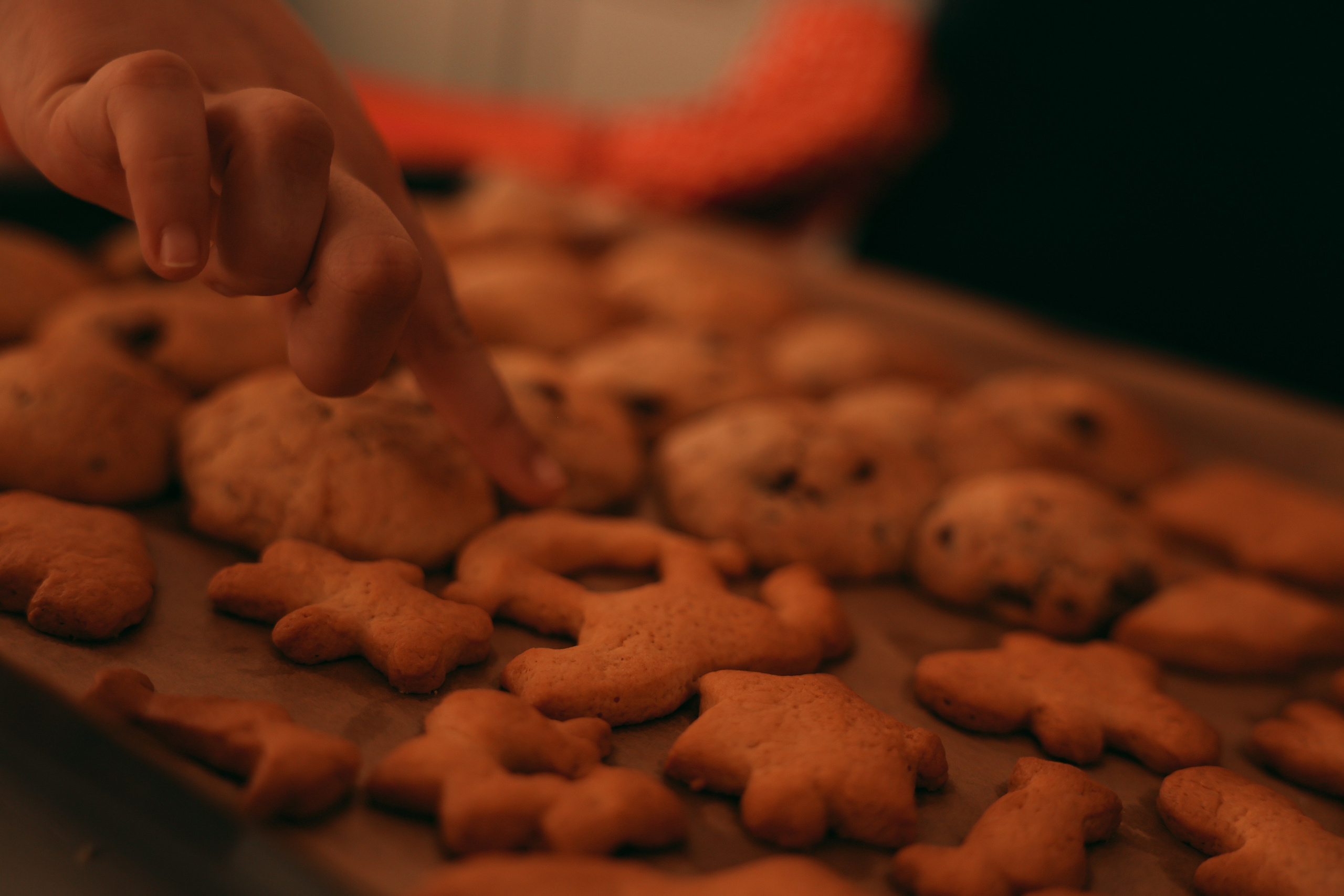 Новогоднее печенье всей семьей. Ваш семейный newborn и lifestyle фотограф в СПБ Наталья Журавлева