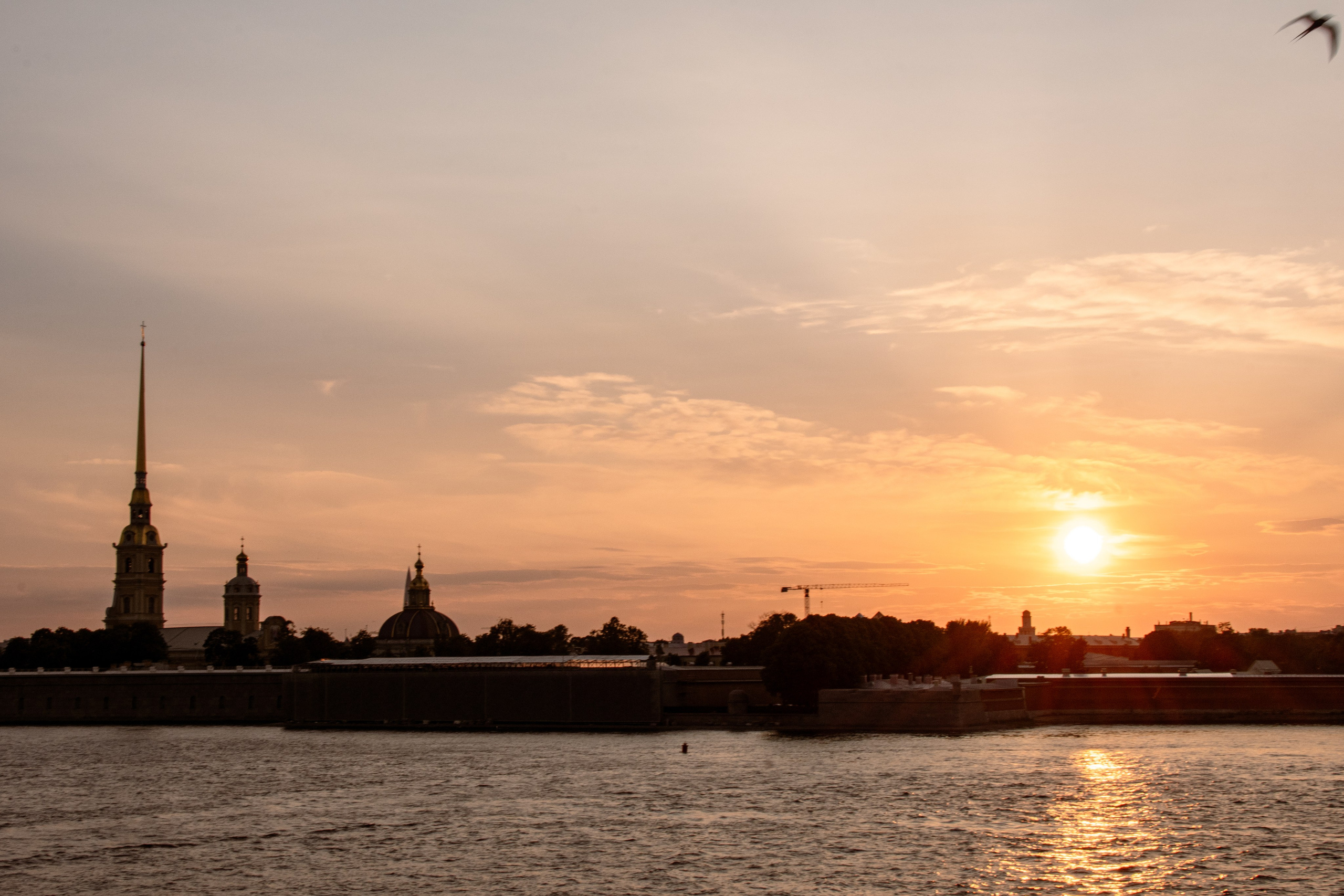 Гуляем красиво. Фотограф в Санкт-Петербурге Ксения Яковчук