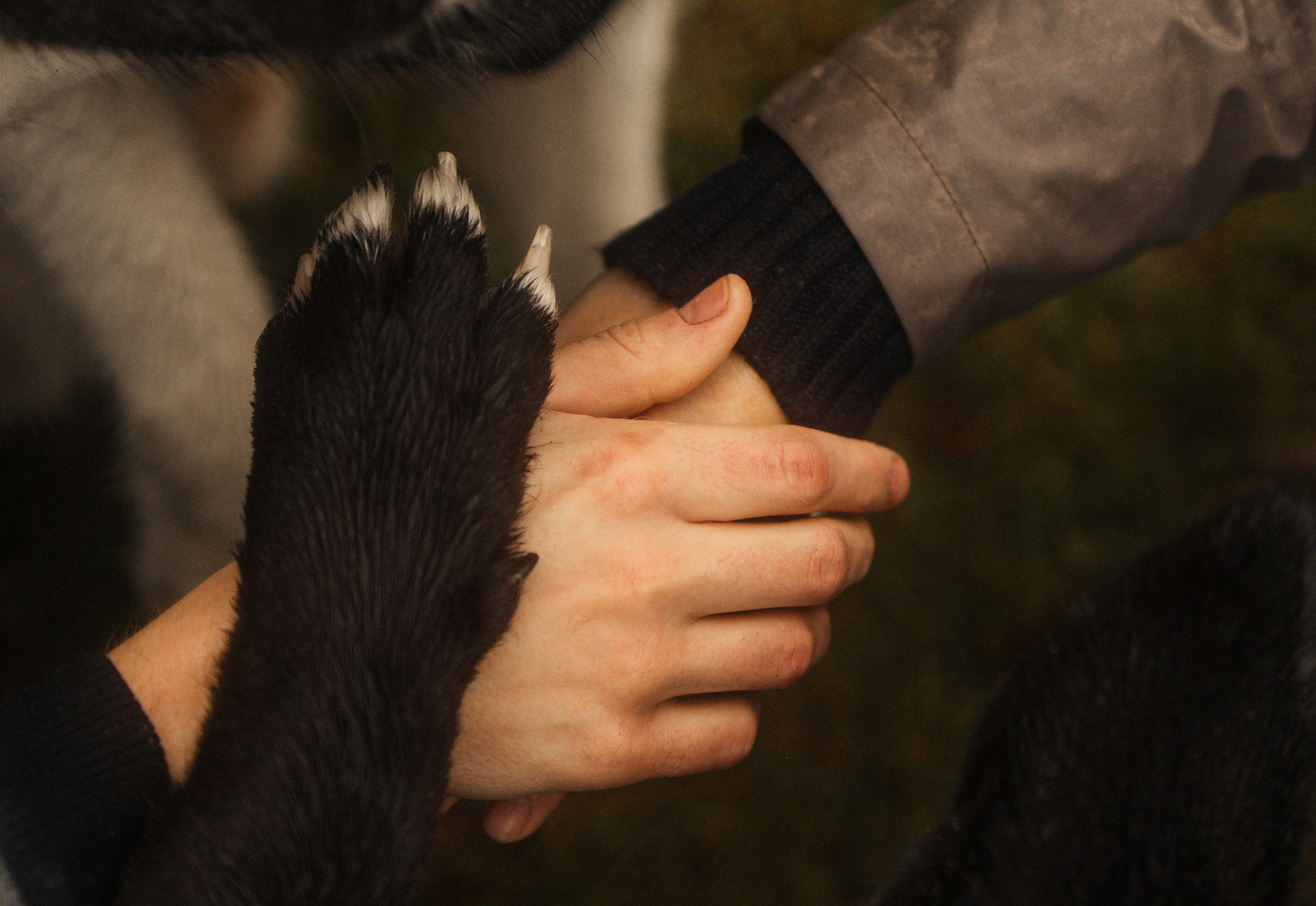 Лена, Глеб, Ральф и Рэй. Фотограф в Выборге и Санкт-Петербурге Маша Гуляева