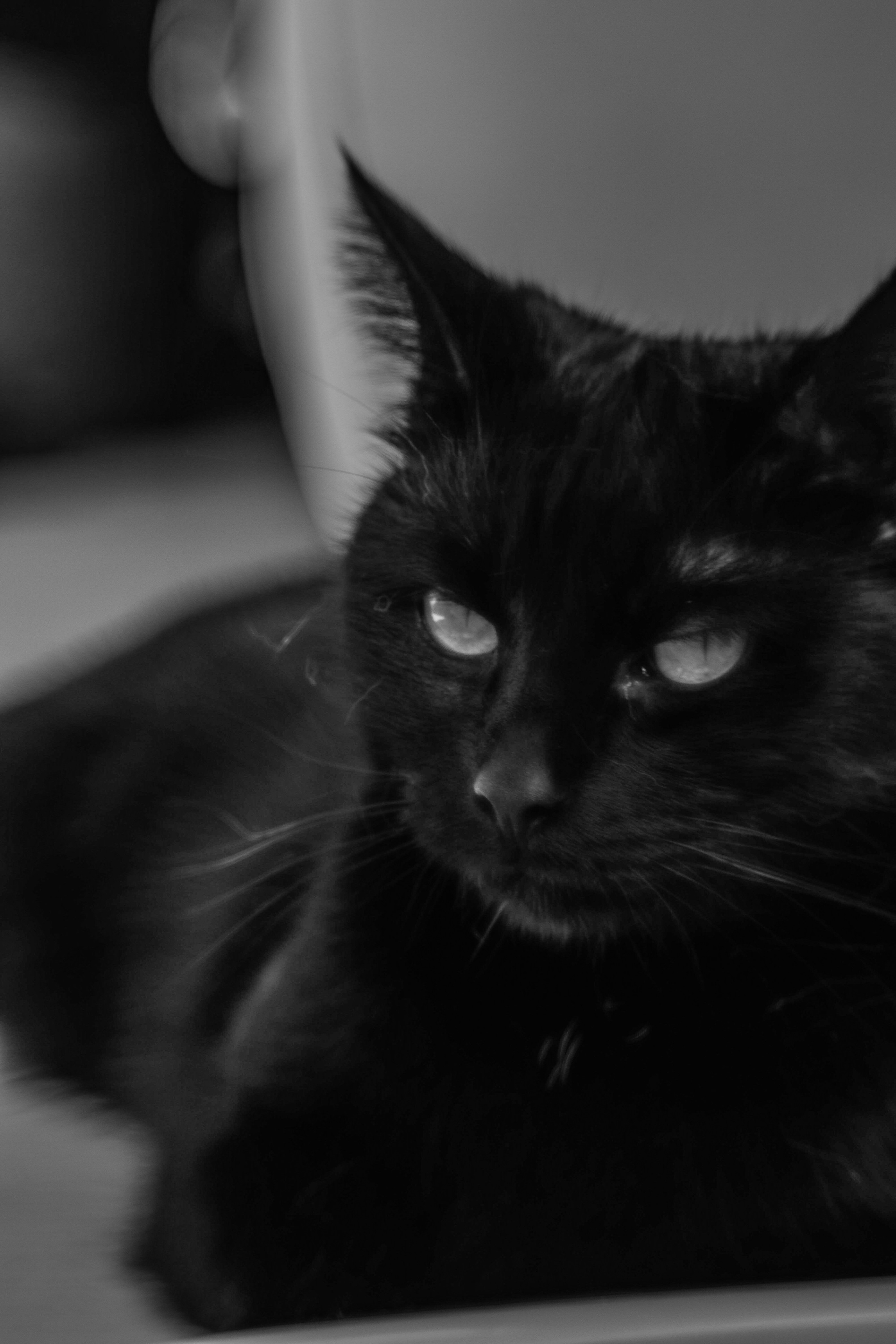 Л Ю Ц И Ф Е Р. — Digital Noise —