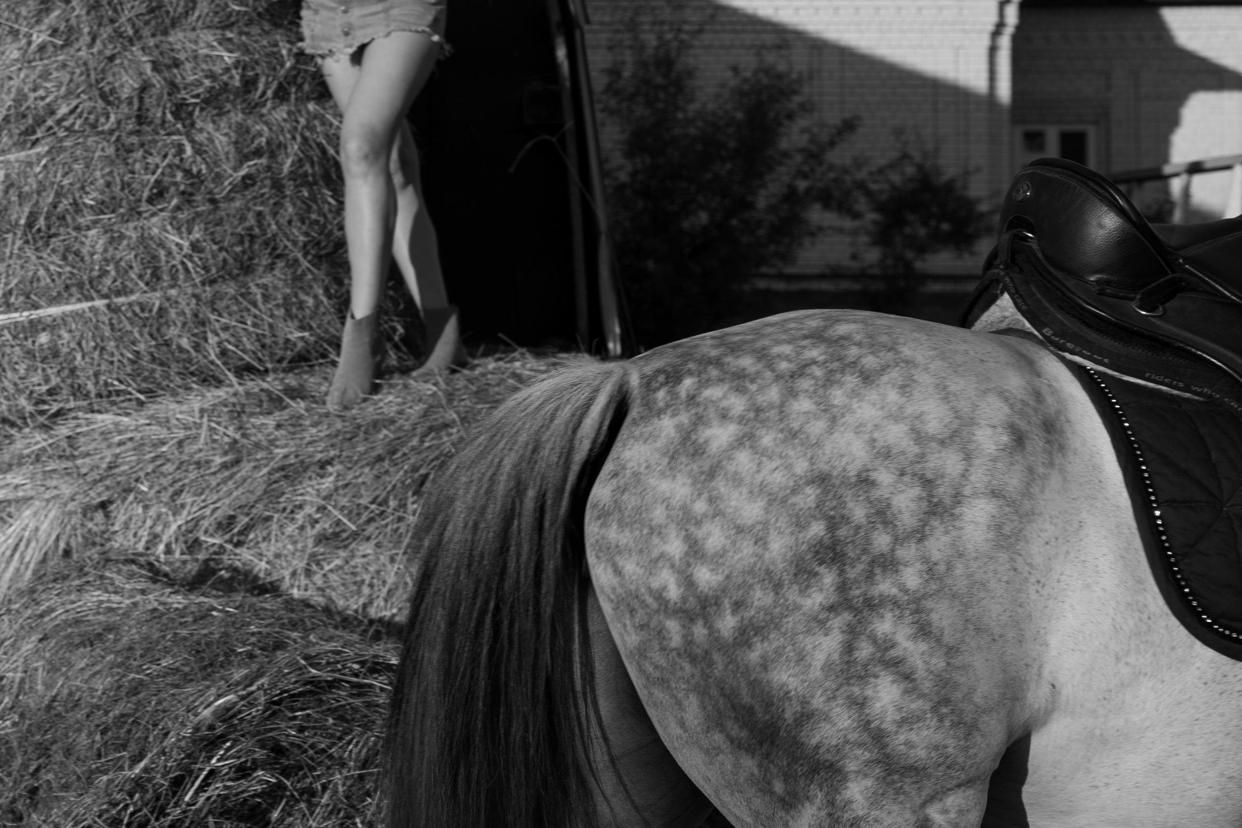 Вера. Главная