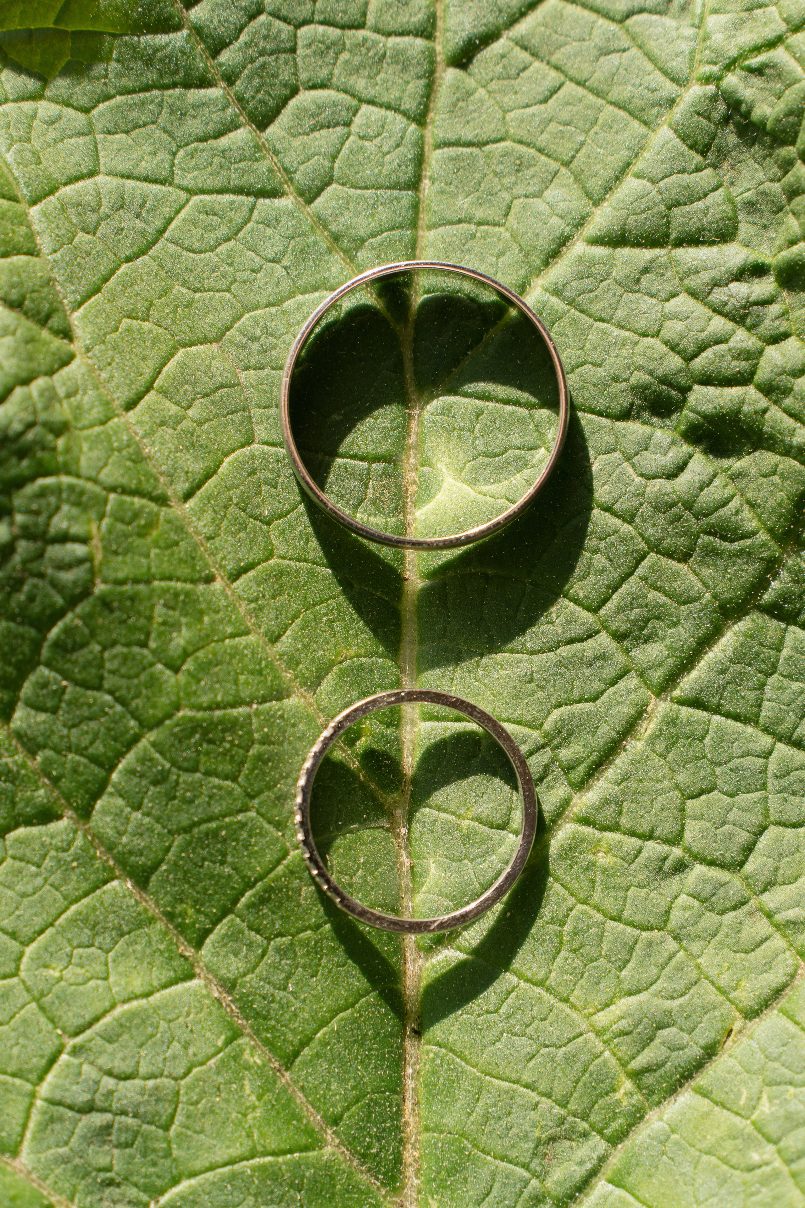 V&K. Свадебный и портретный фотограф Марина Юшина